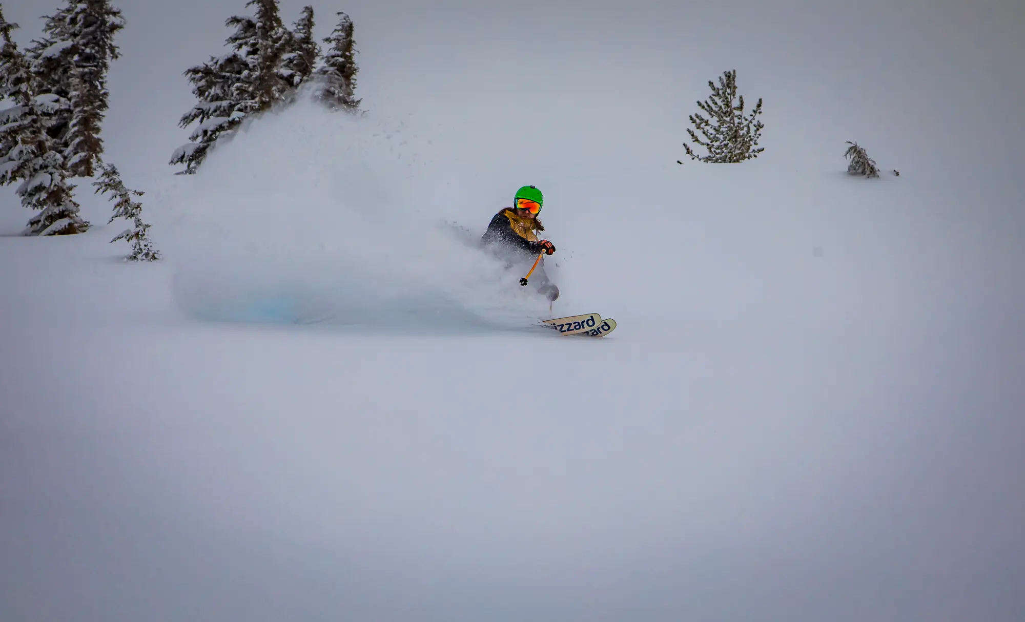 Mt. Hood Meadows photo 5