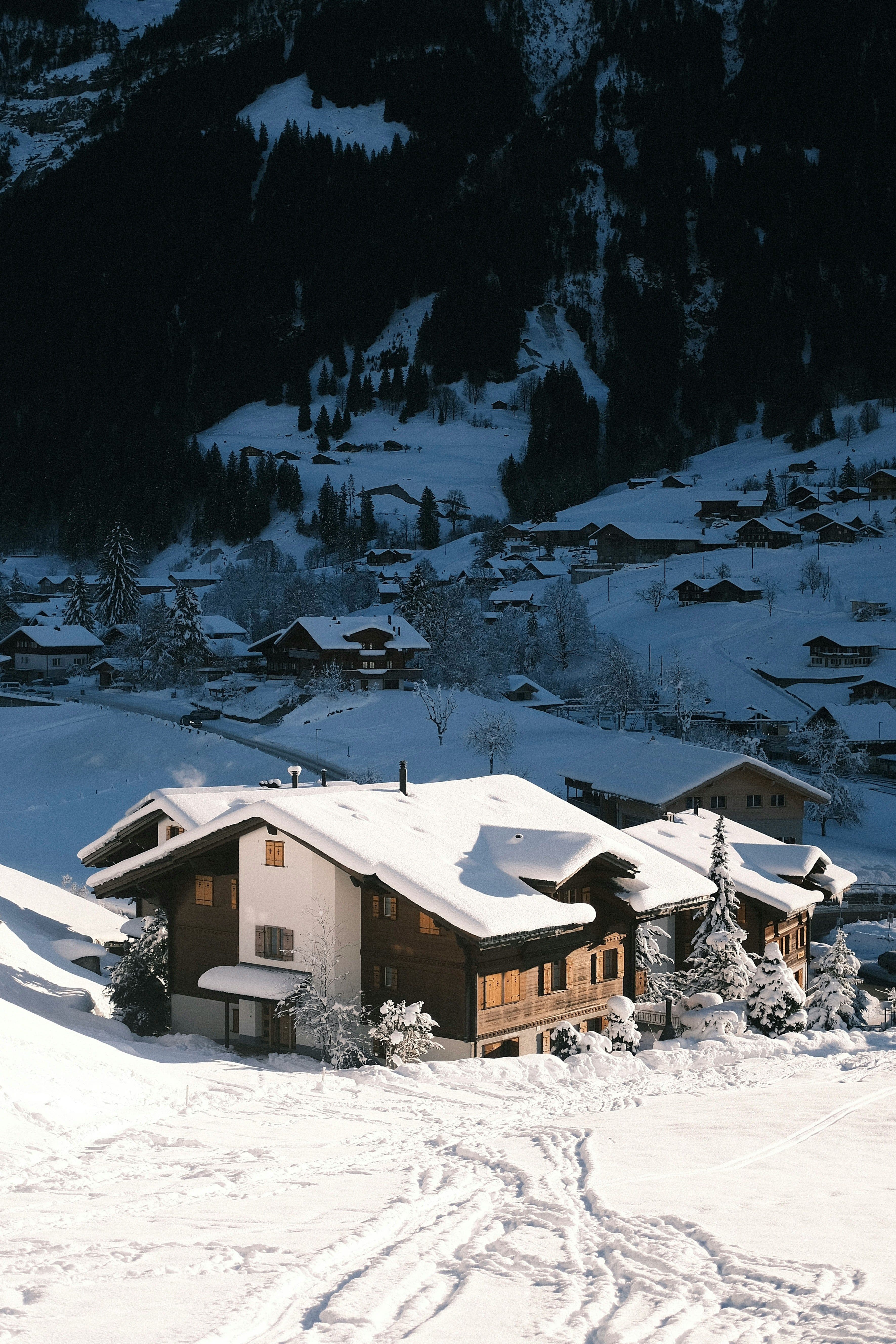 Grindelwald photo 4