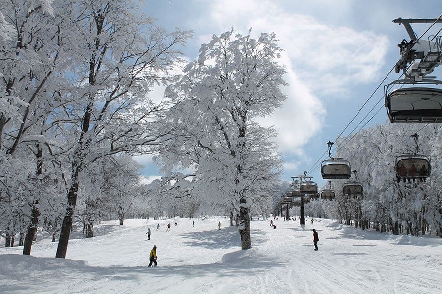 Nozawa Onsen photo 3