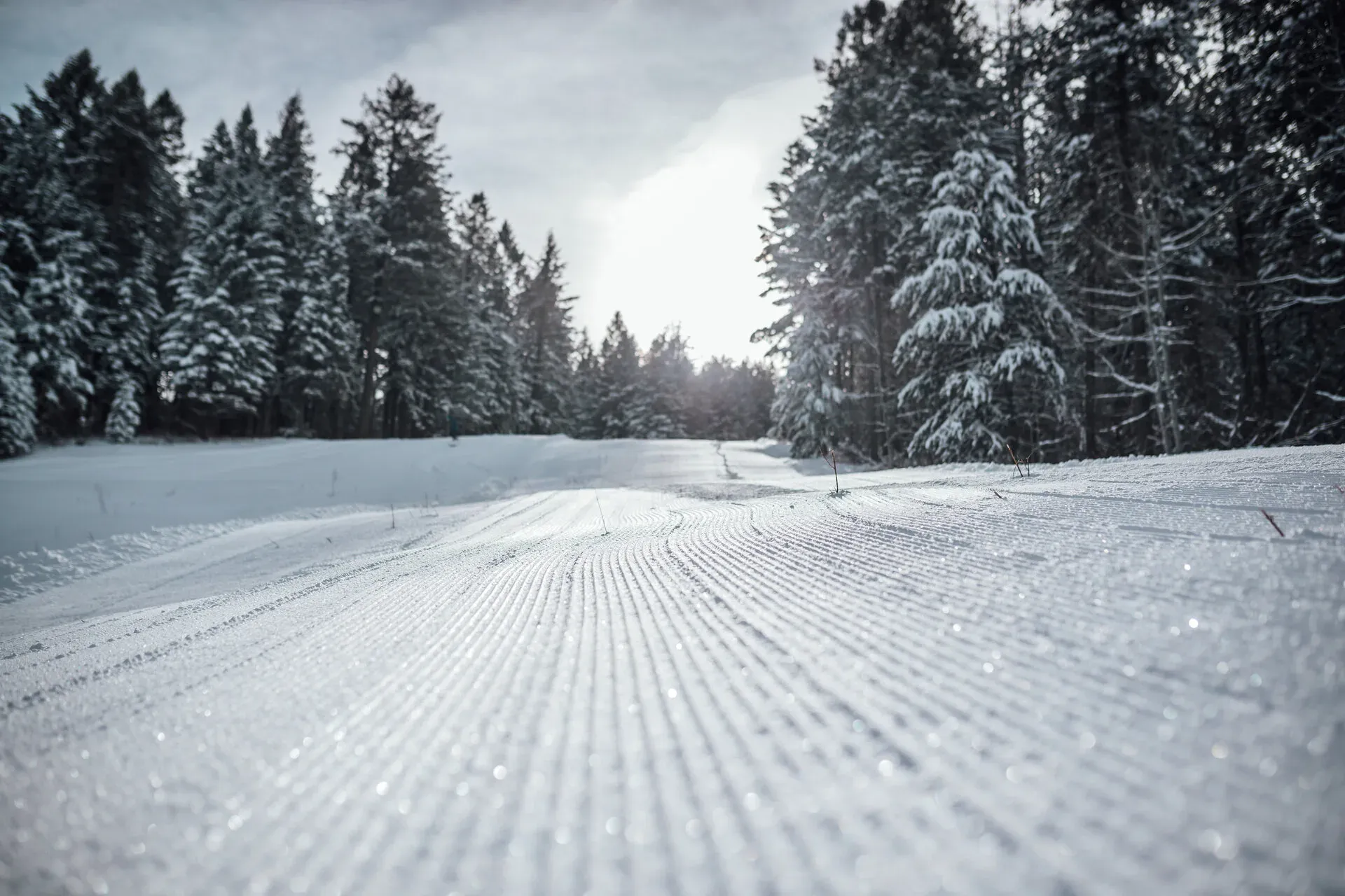 Kelly Canyon Ski Resort photo 6