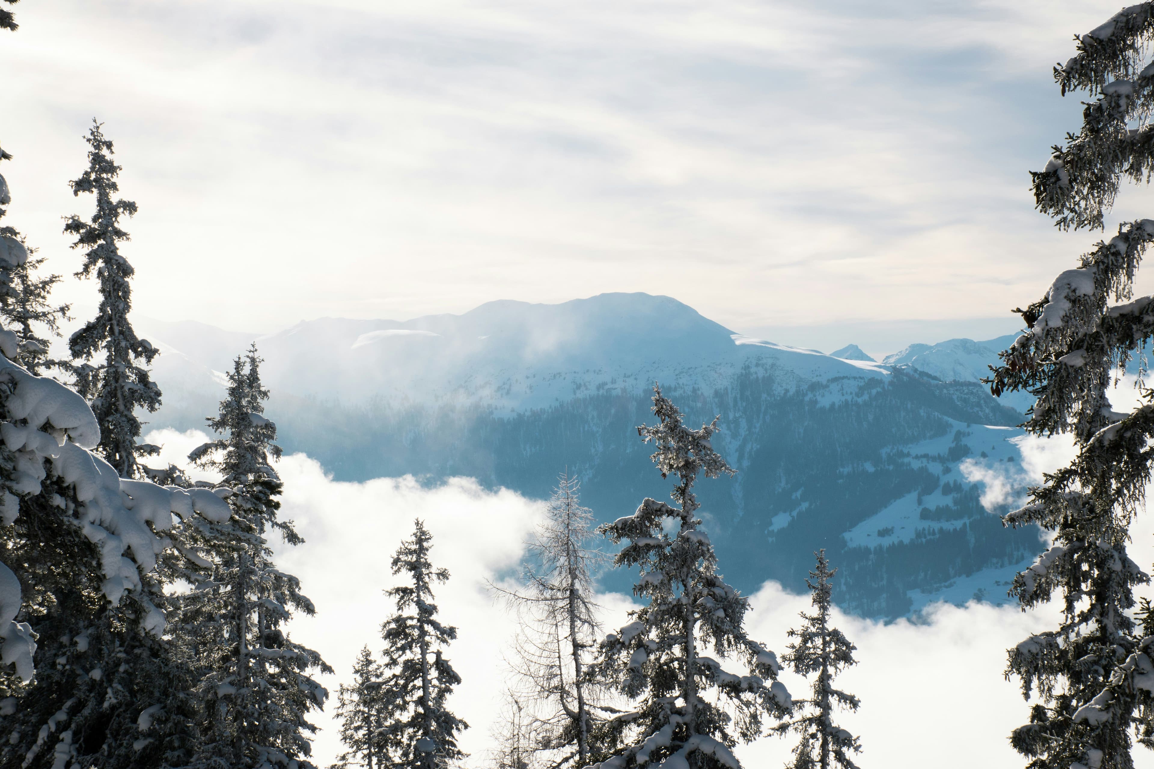 Arosa Lenzerheide photo 3