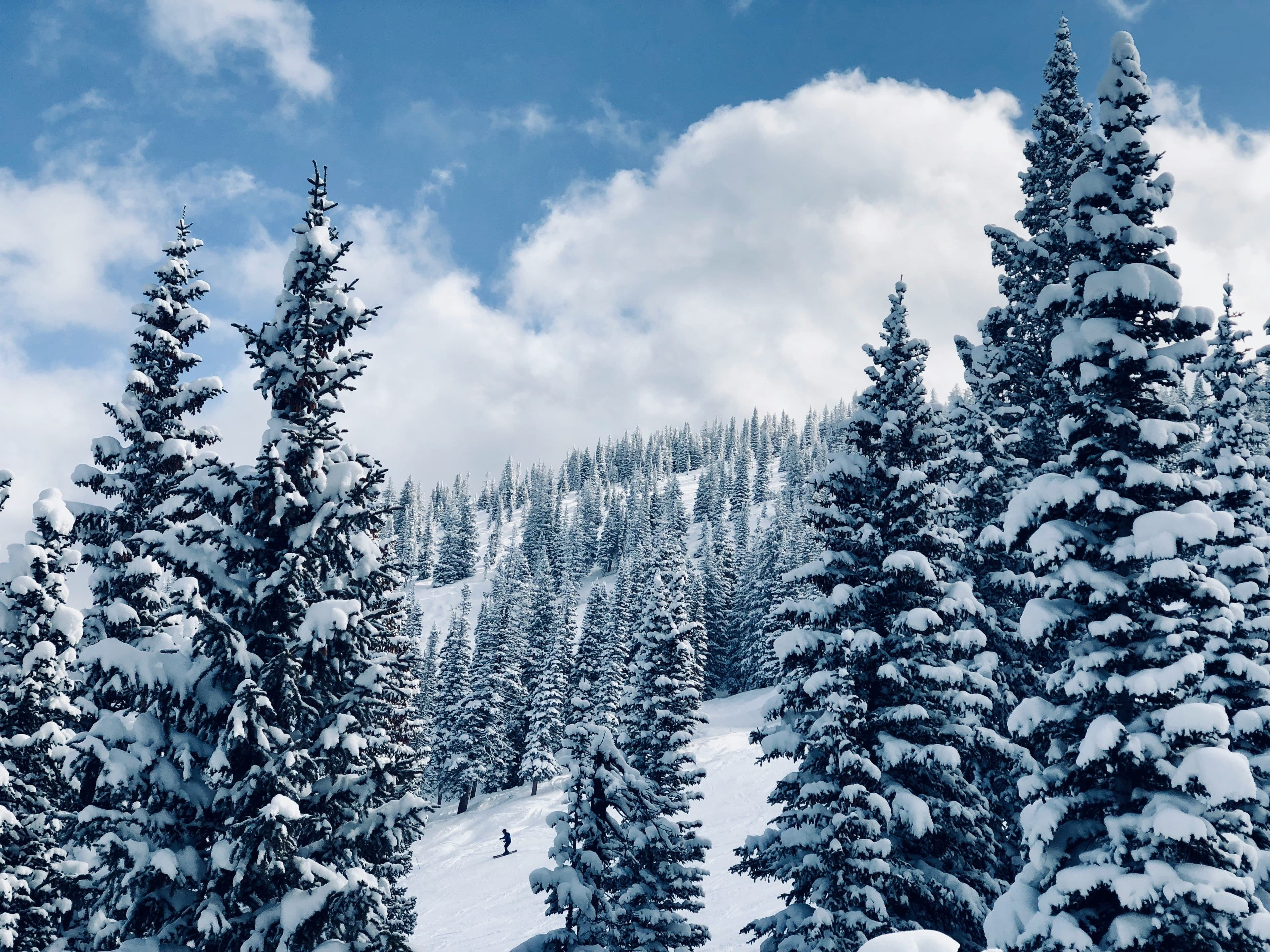 Steamboat Ski Resort