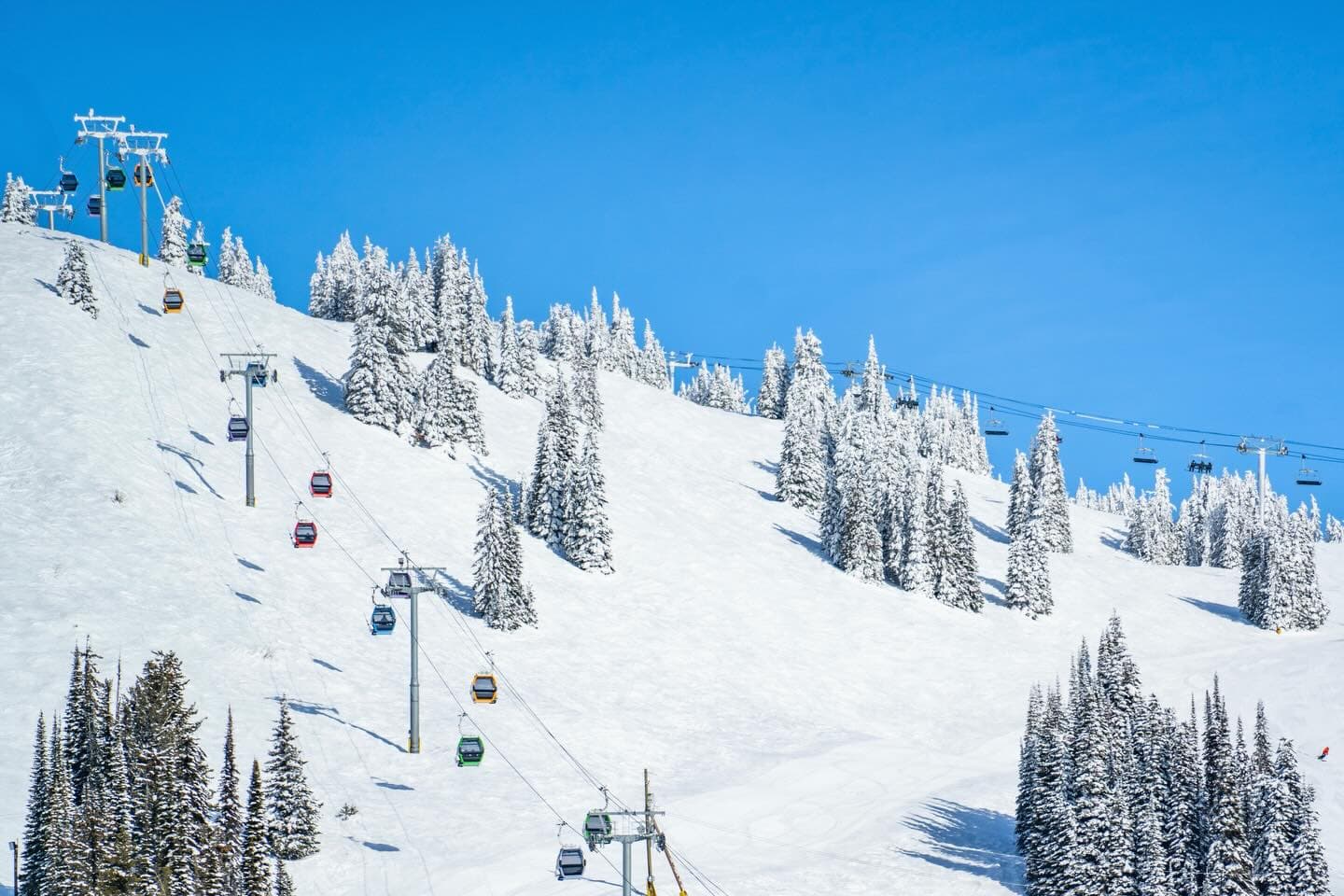 SilverStar photo 5
