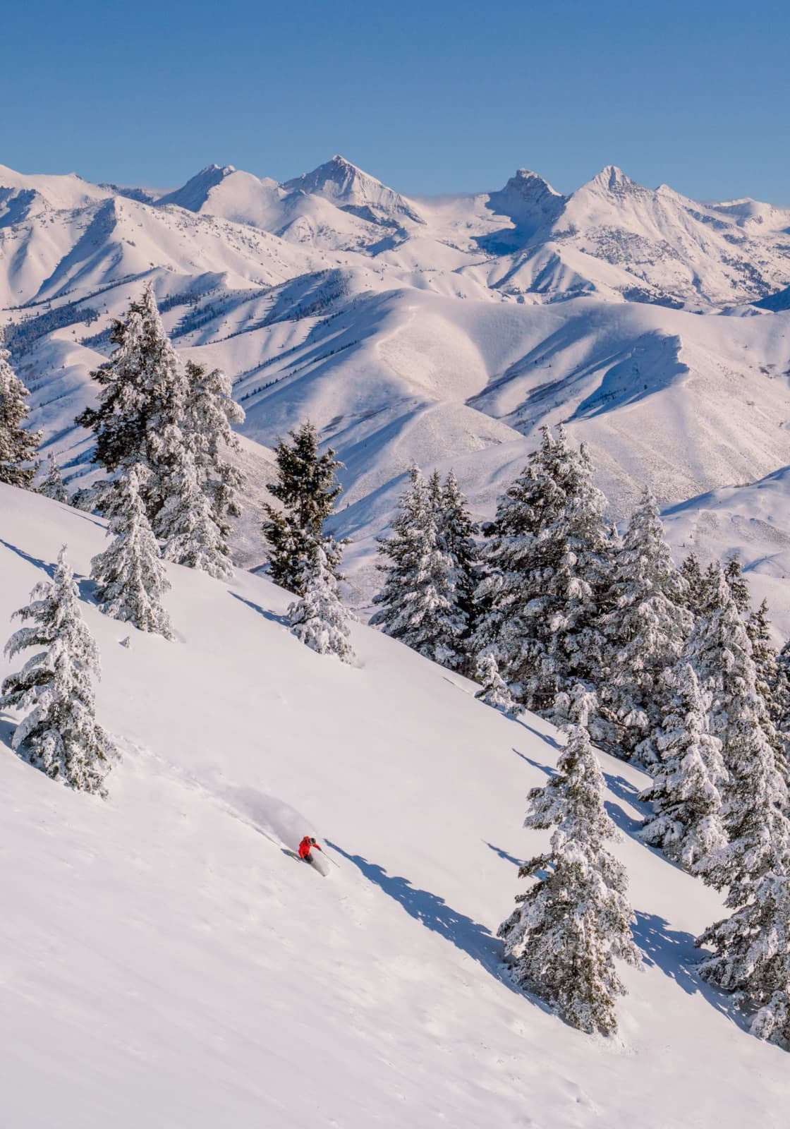 Sun Valley photo 10