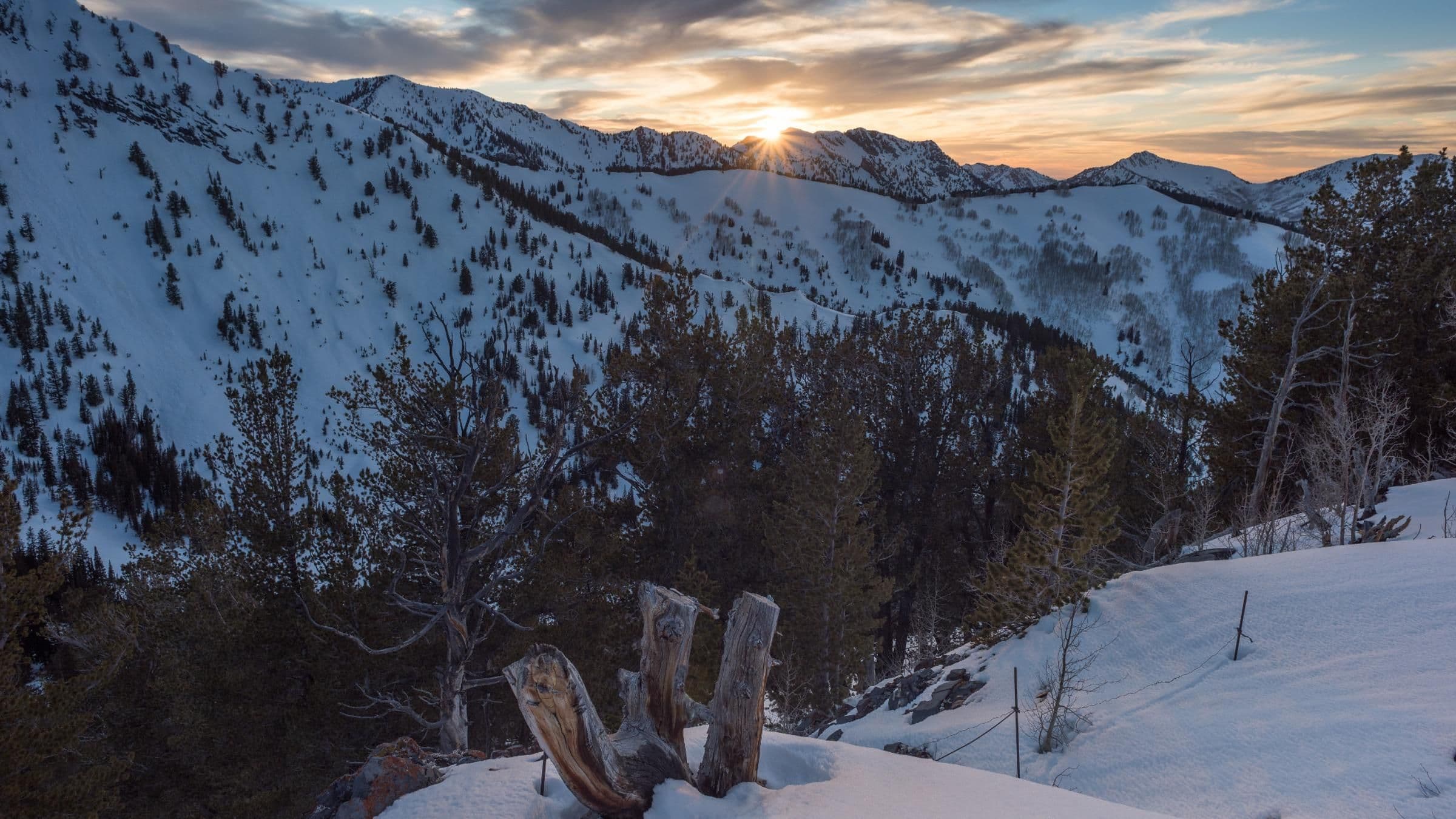 Solitude photo 4