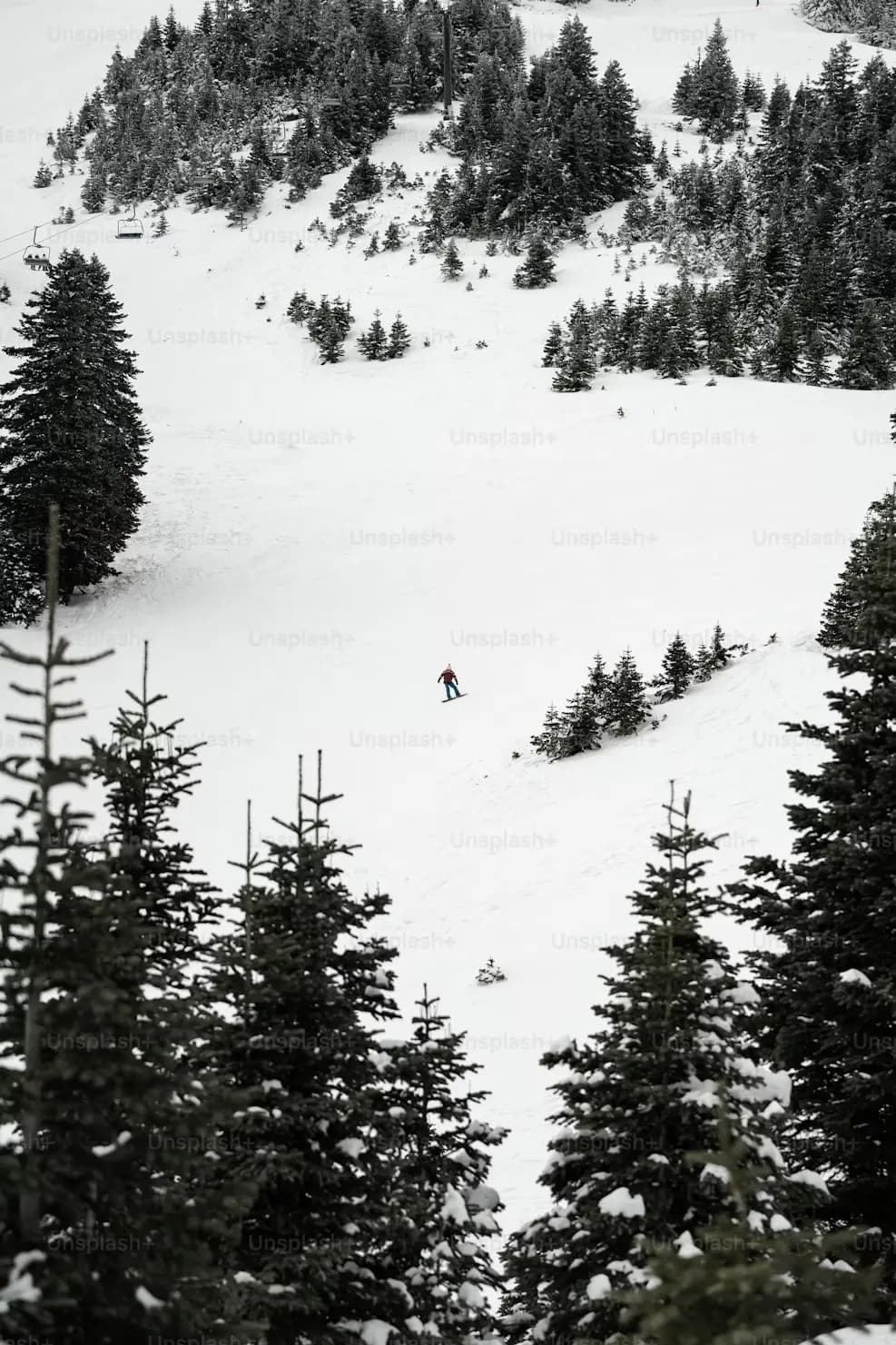Jackson Hole Mountain Resort photo 14