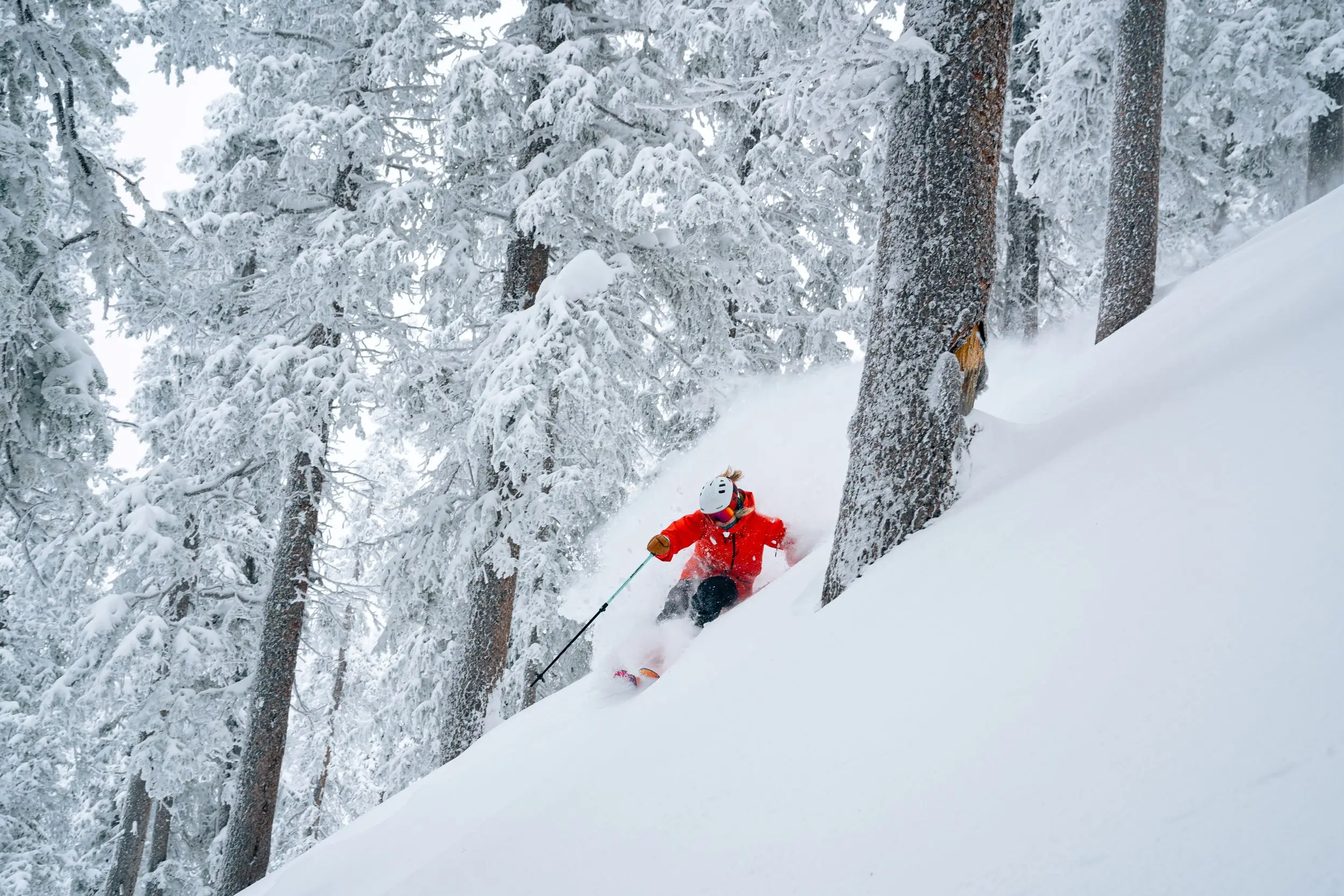 Taos Ski Valley photo 6