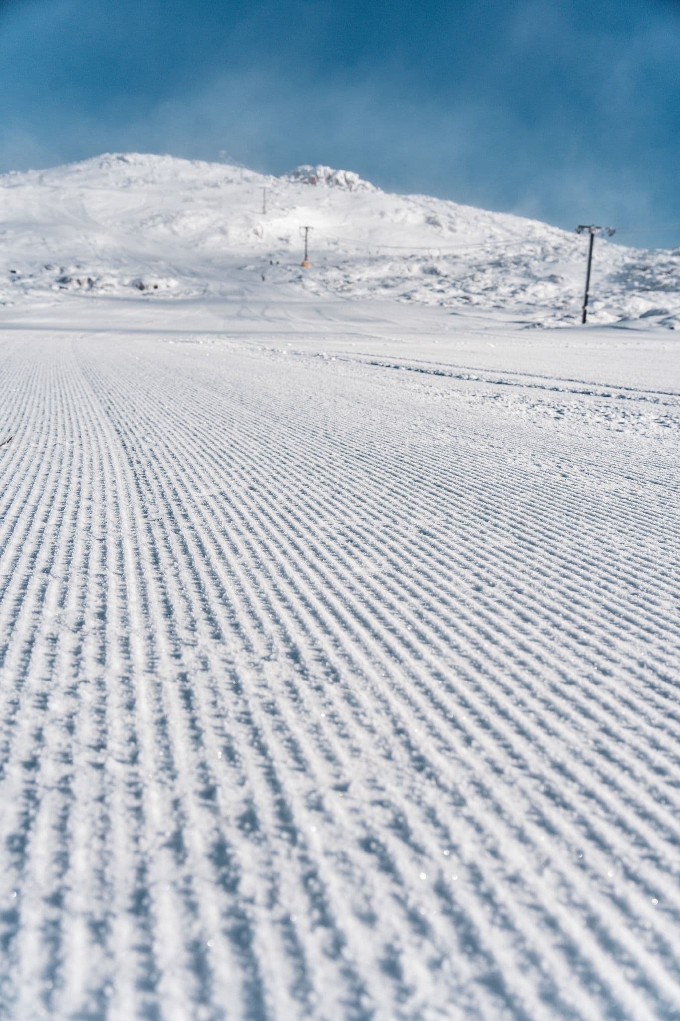 Ben Lomond Alpine Resort photo 9