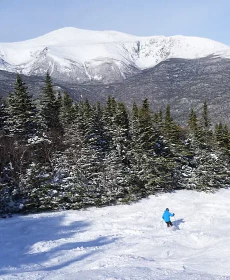 Wildcat Mountain photo 4