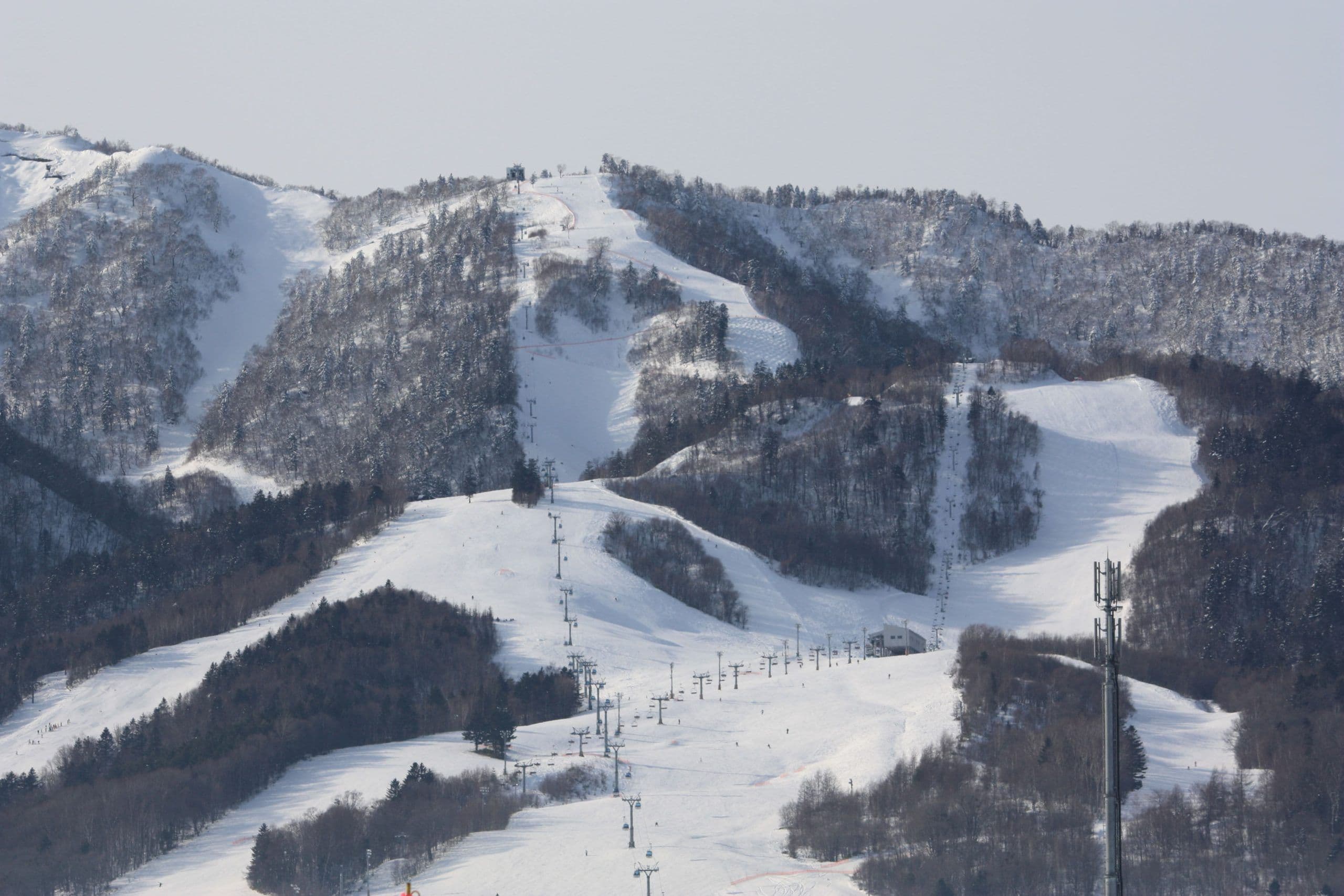 Furano photo 4