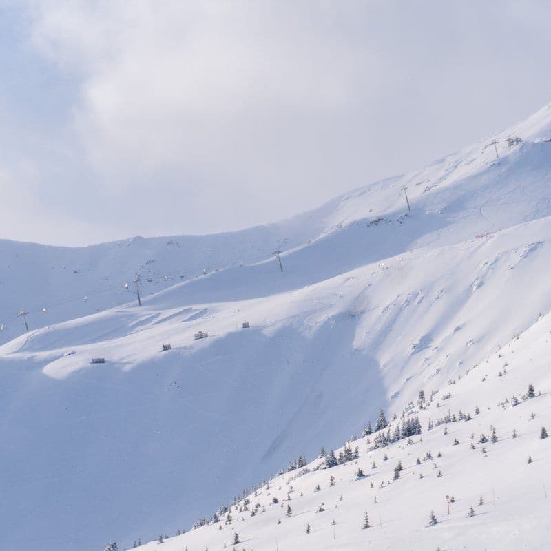 Marmot Basin photo 3