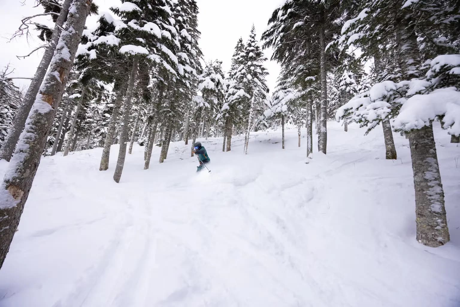 Sugarloaf photo 7