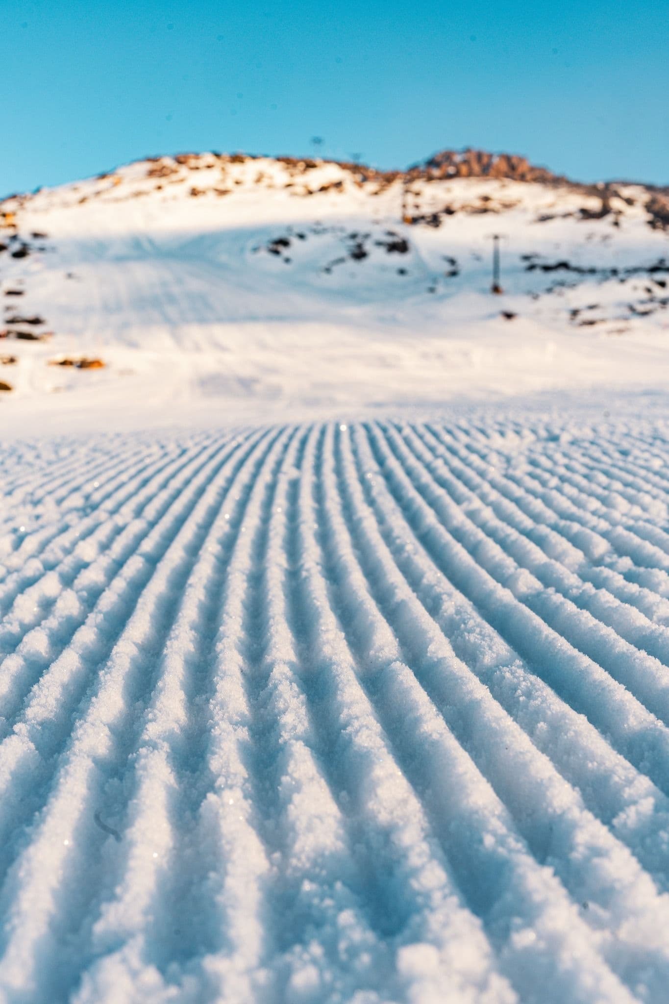 Ben Lomond Alpine Resort photo 7