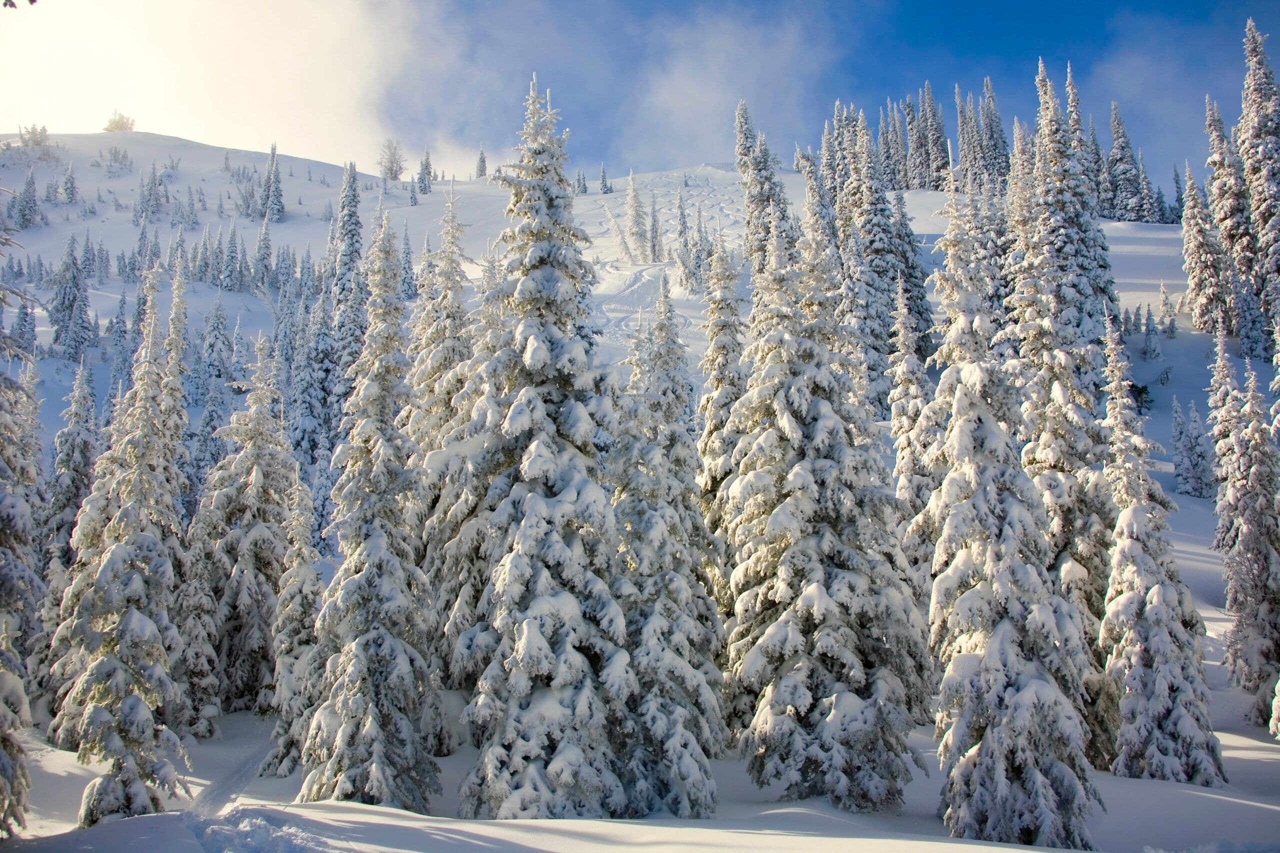 Tamarack Resort photo 3