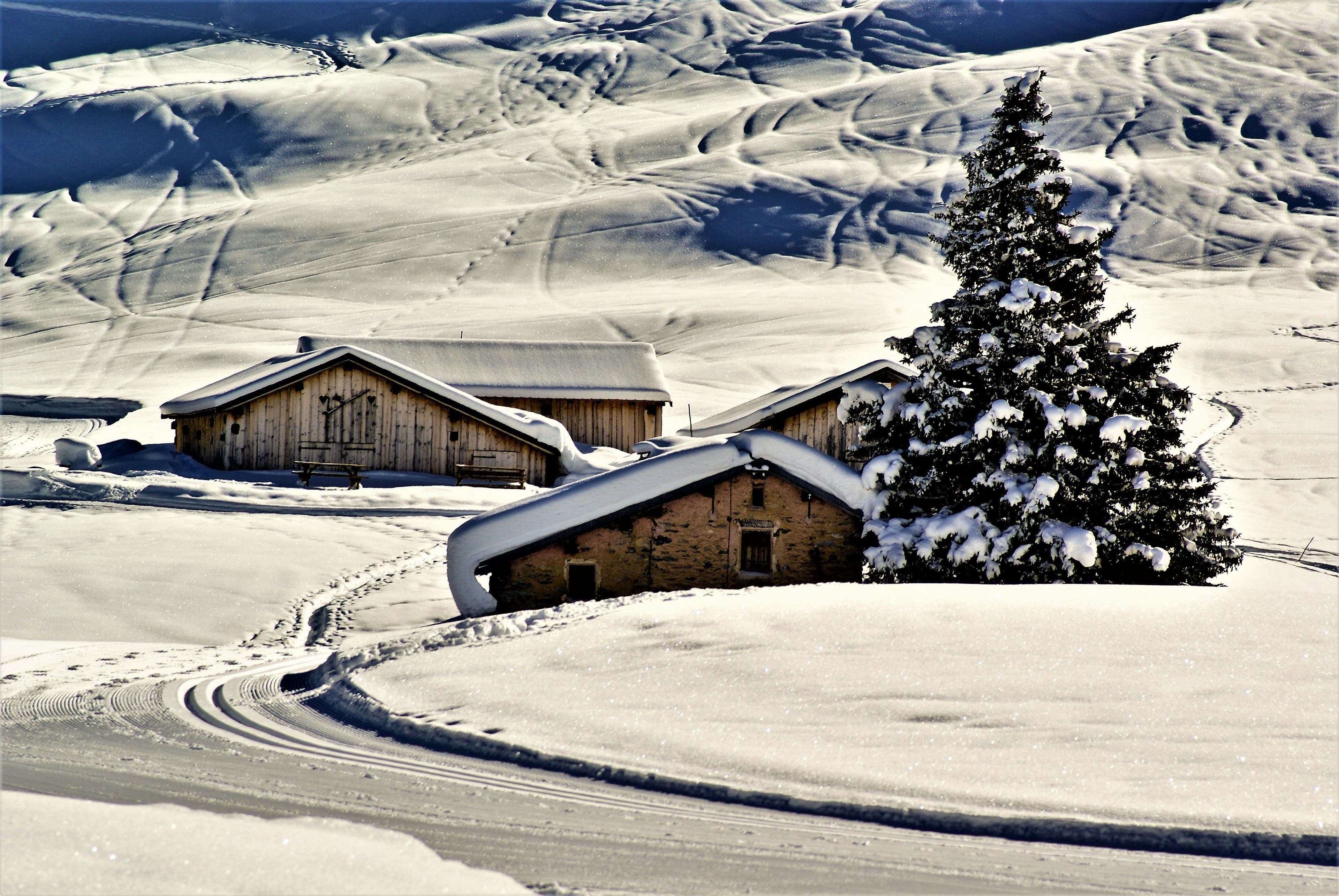 Courchevel 1850 photo 7