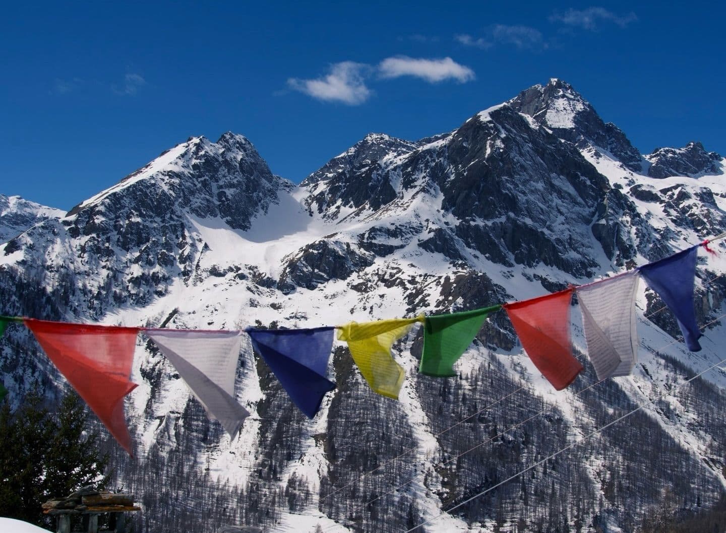 Monterosa Ski photo 12