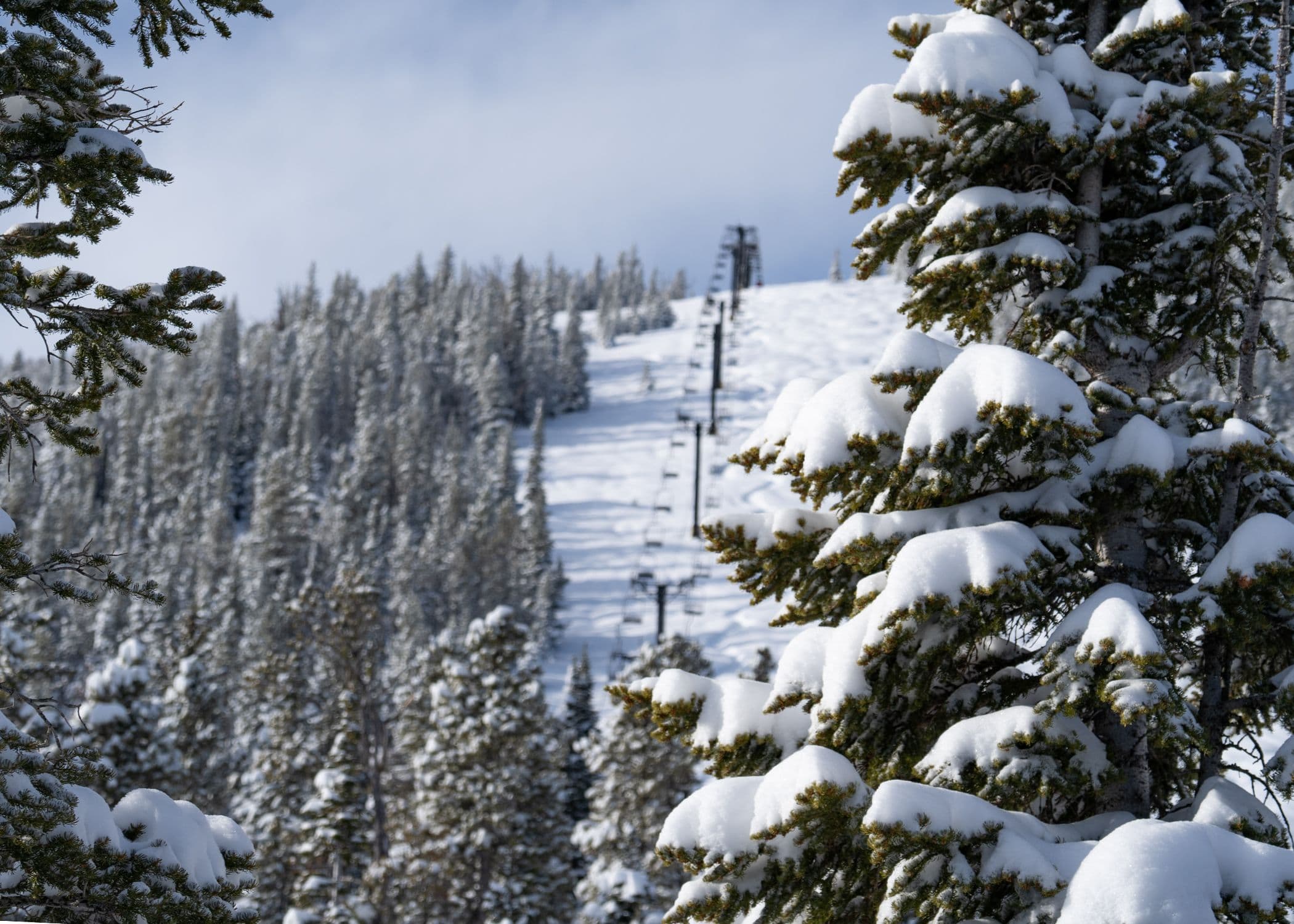Red Lodge Mountain