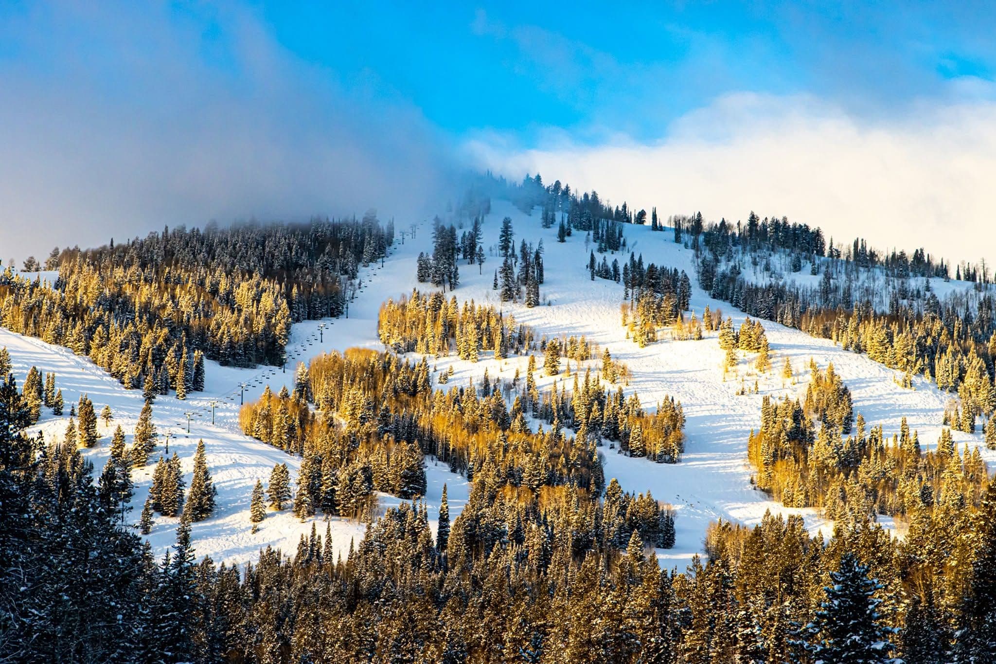 Beaver Mountain