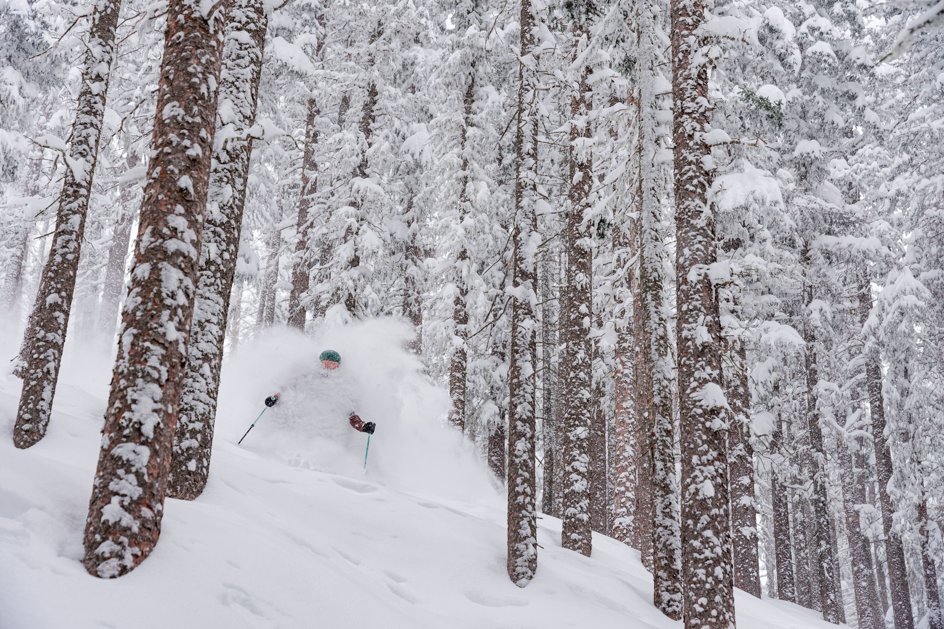 Taos Ski Valley photo 11