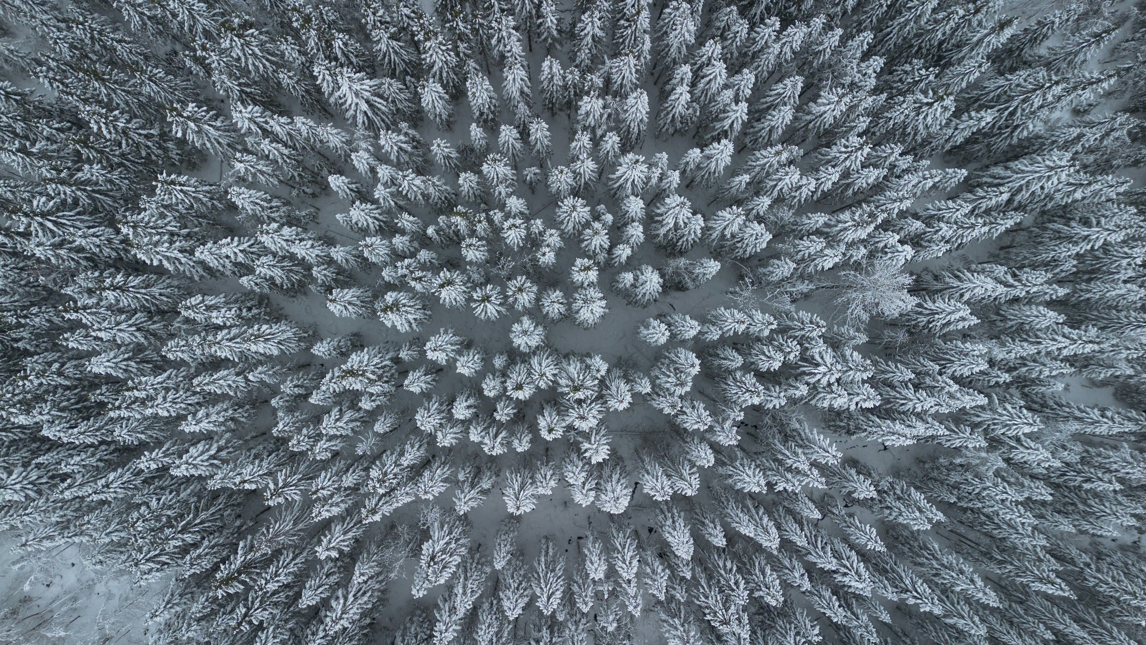 Trysil photo 4