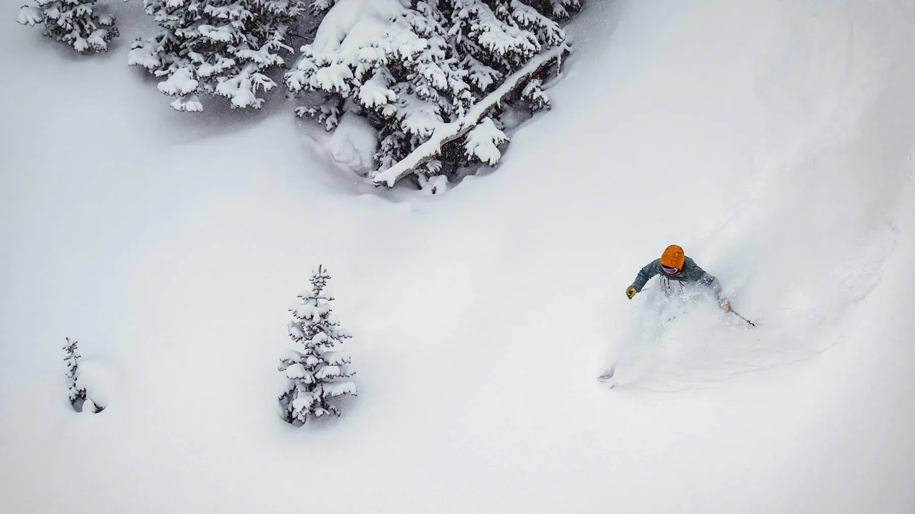 Deer Valley Resort photo 4