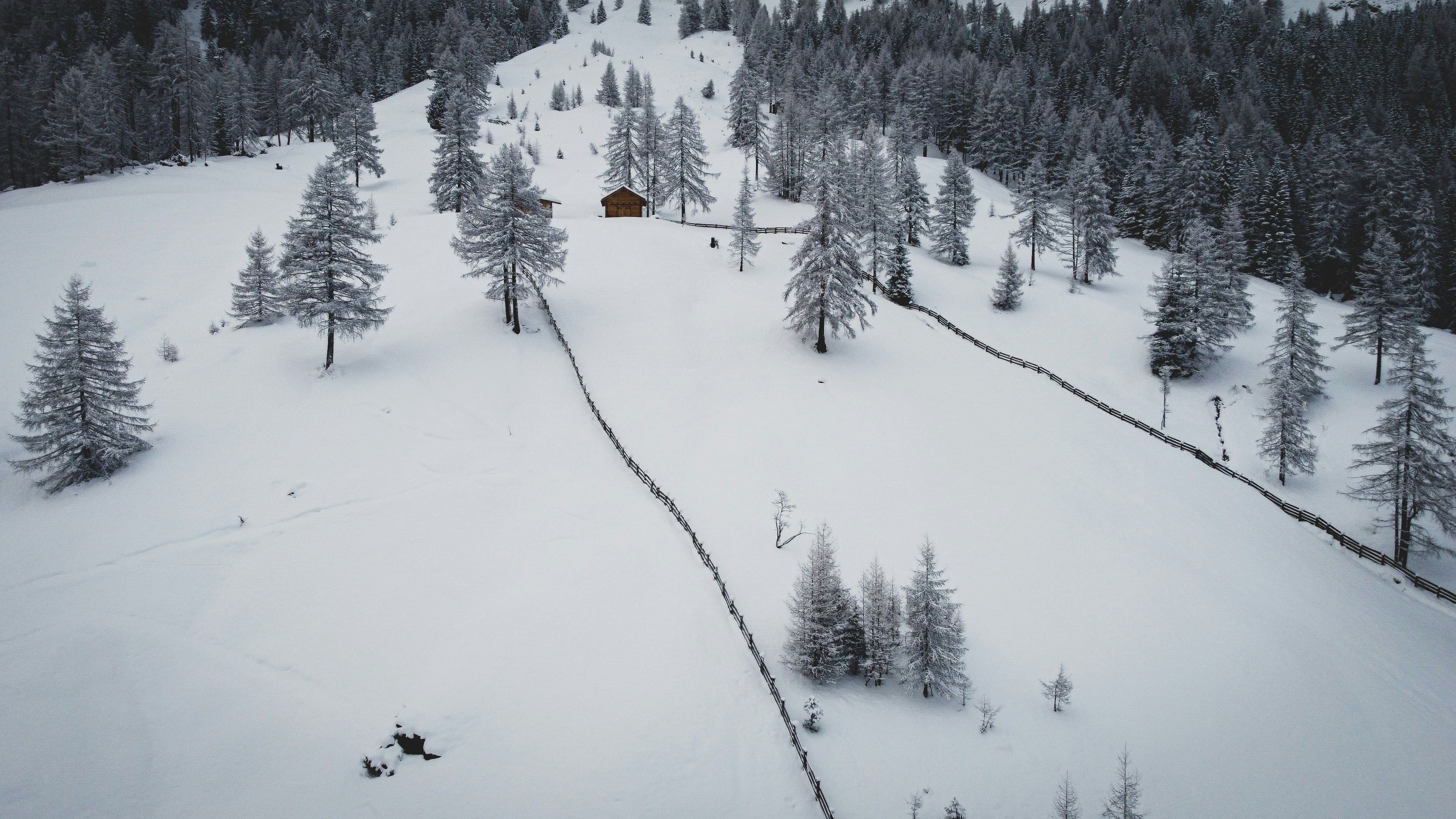 Val Gardena photo 7