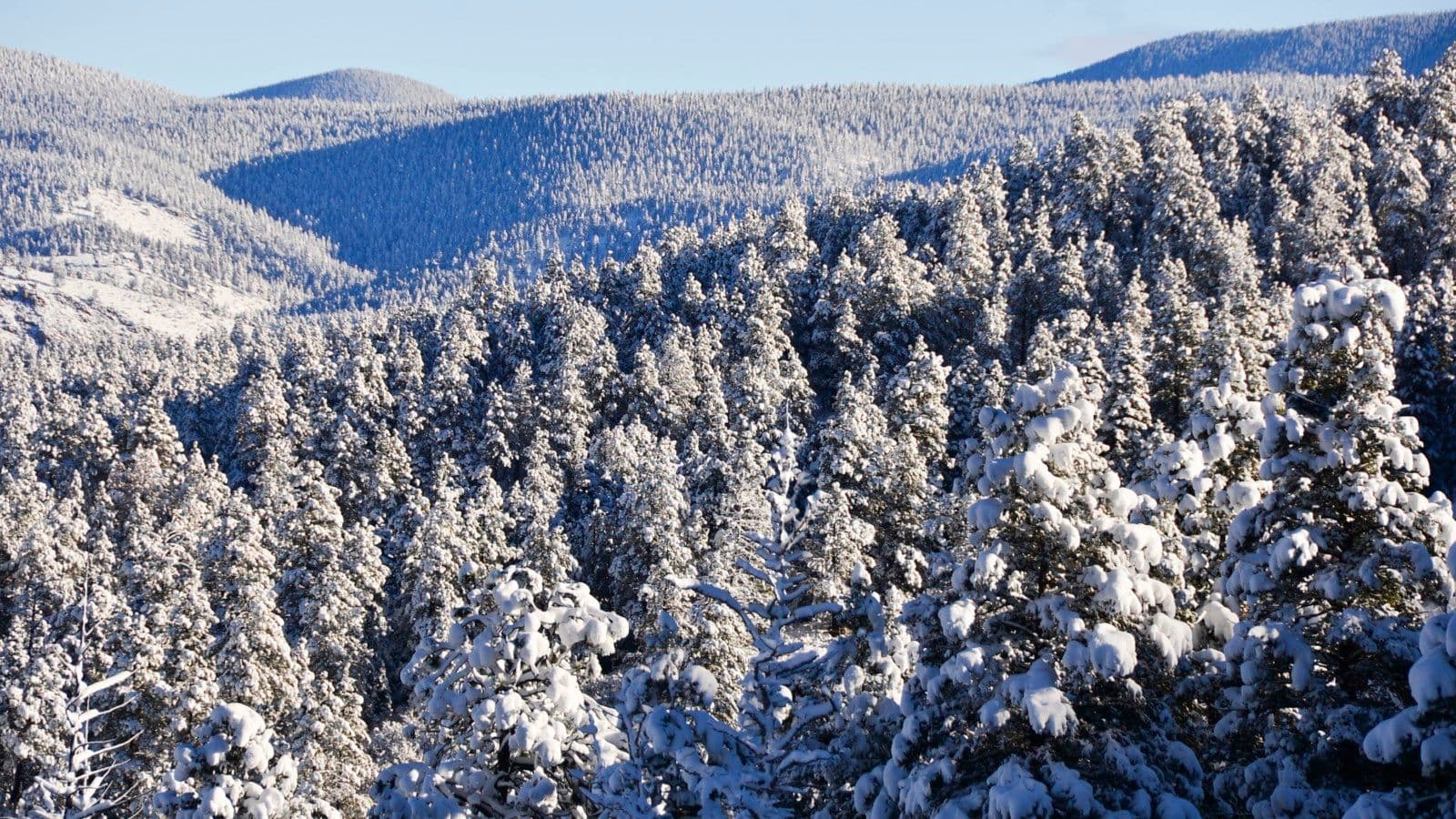 Angel Fire Resort photo 5