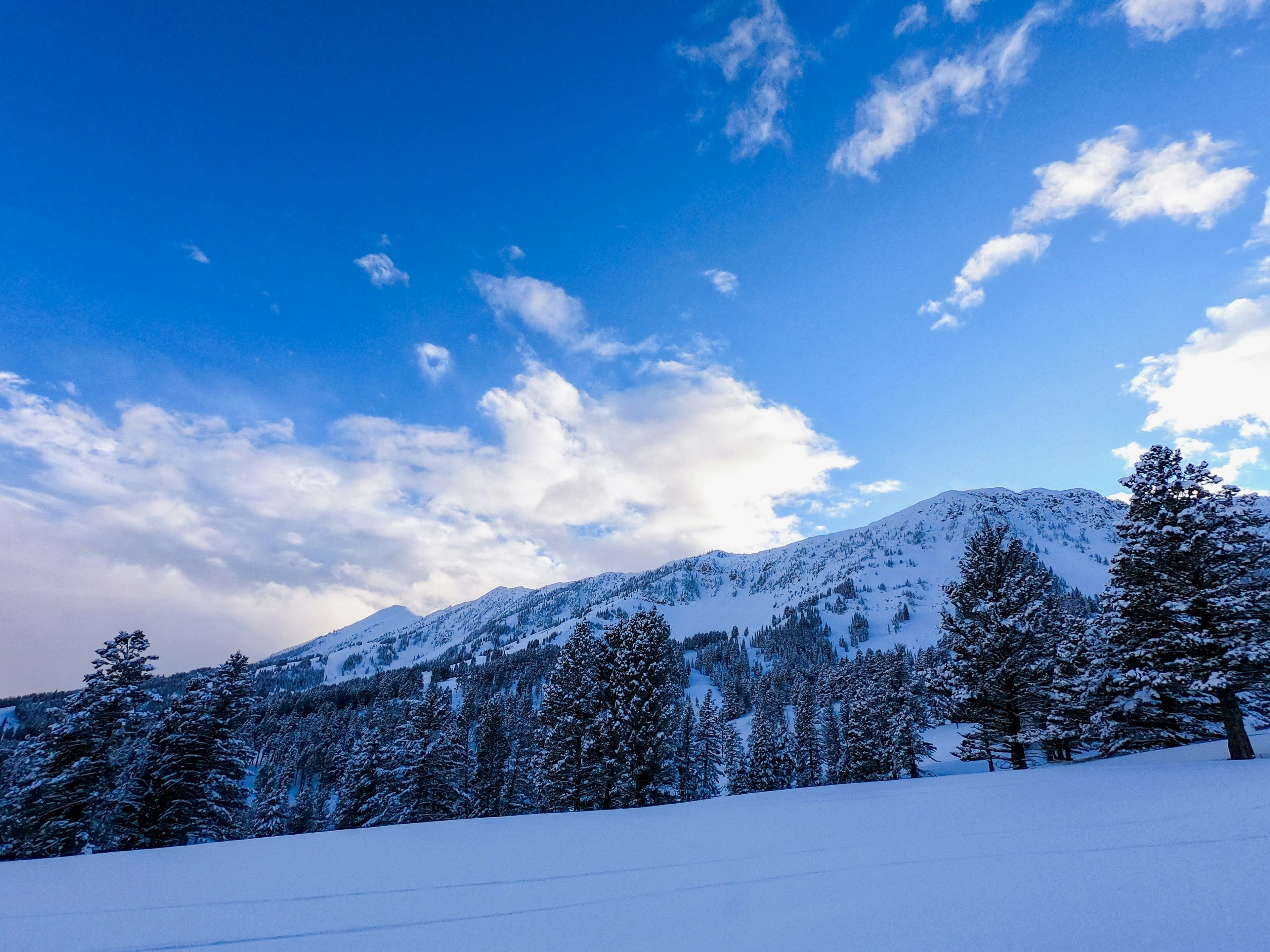 Bridger Bowl
