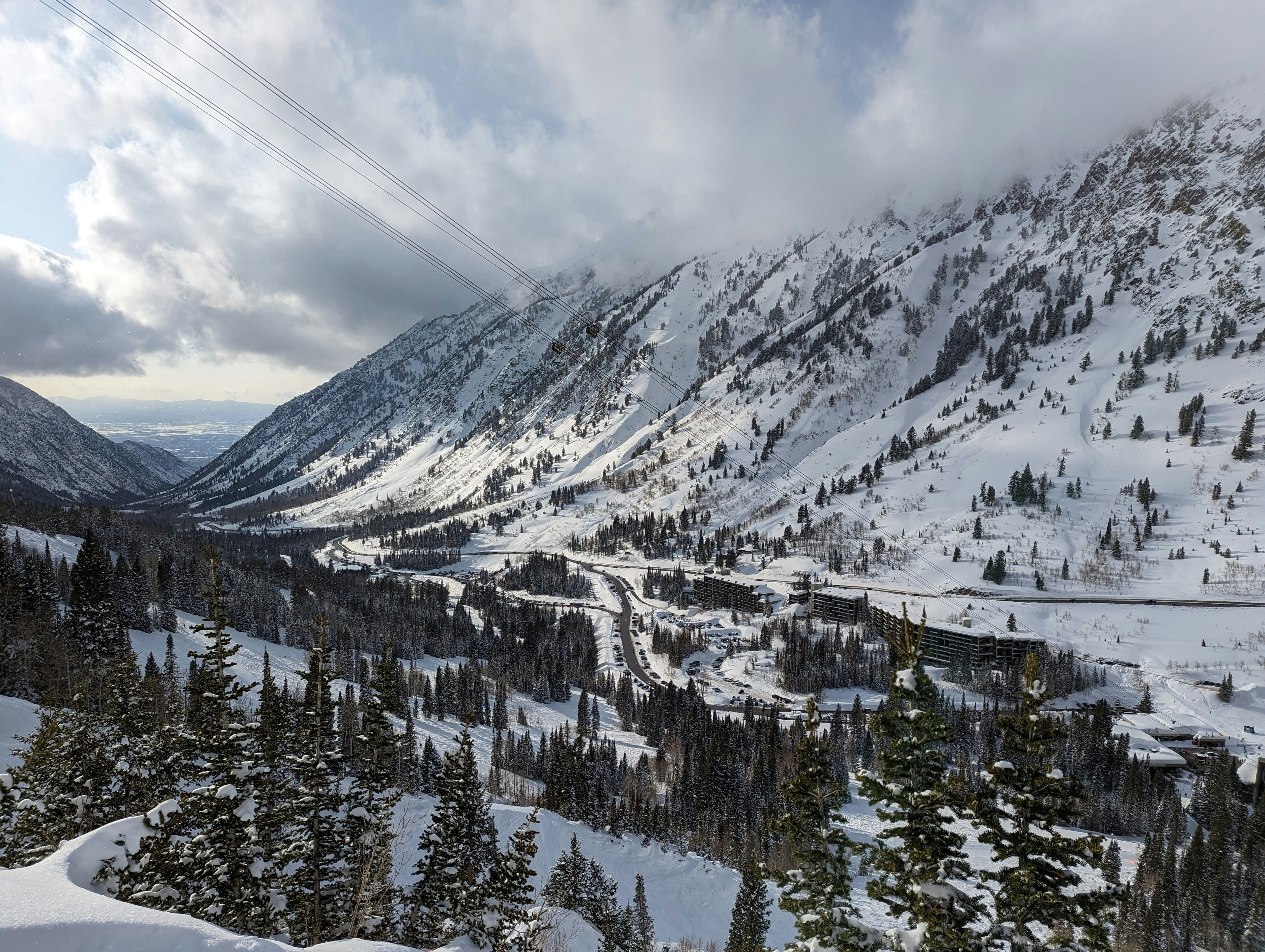 Snowbird photo 6