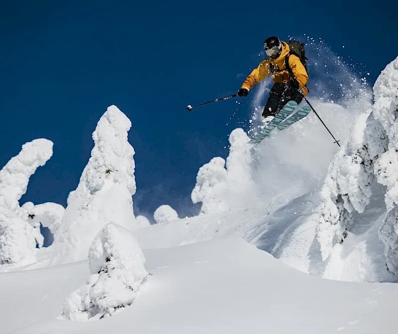 Revelstoke Mountain Resort