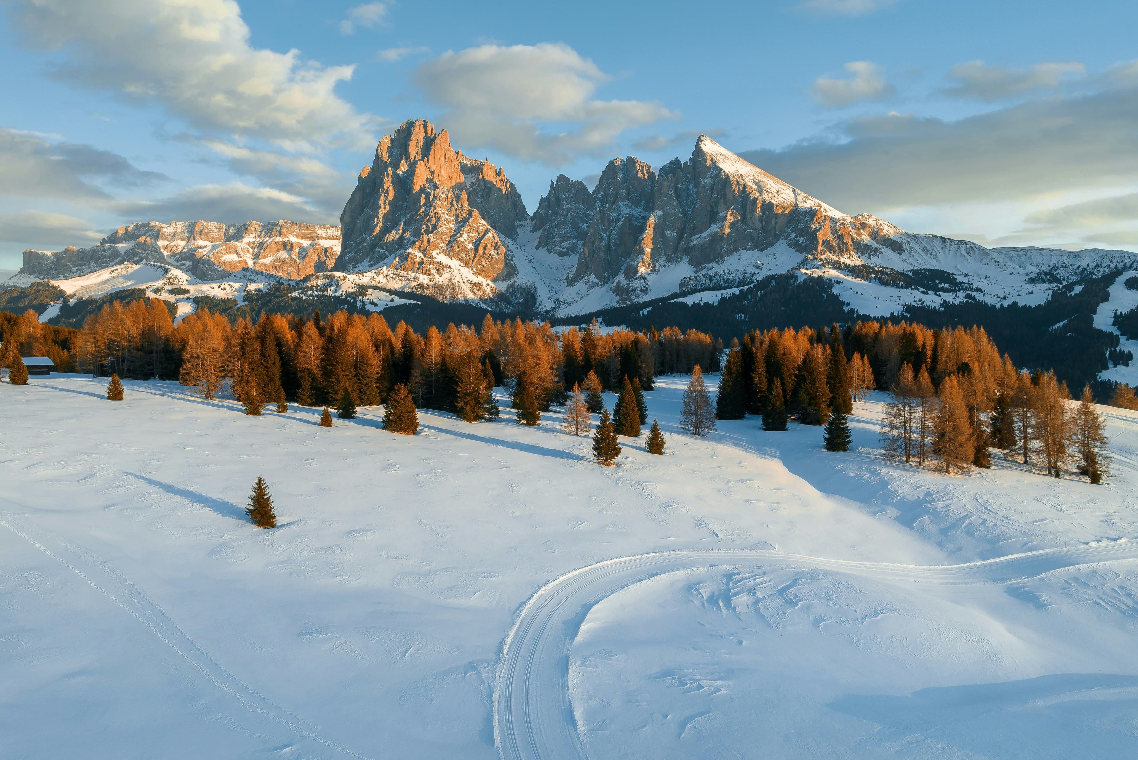 Alpe di Siusi photo 4