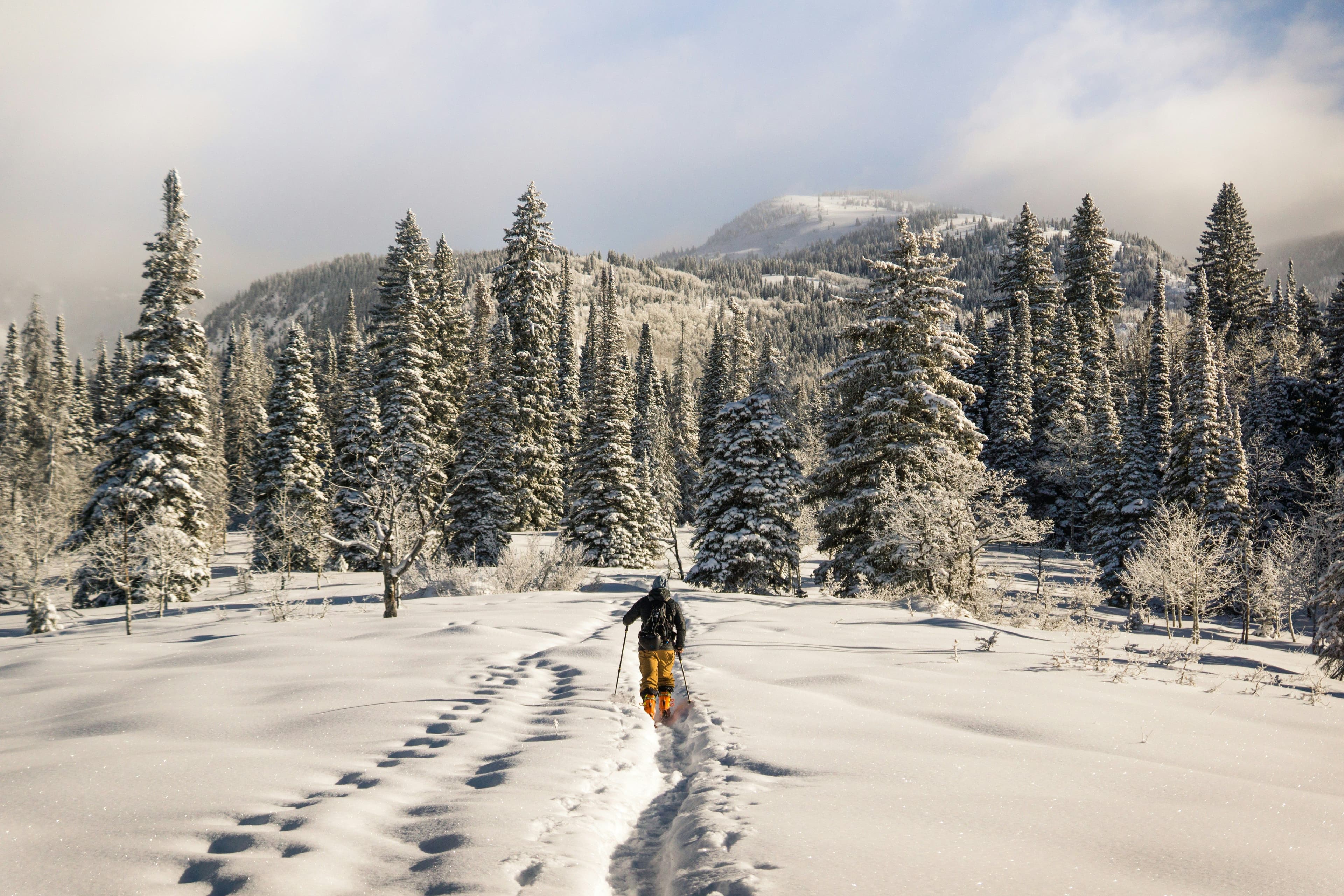 Steamboat Ski Resort photo 6