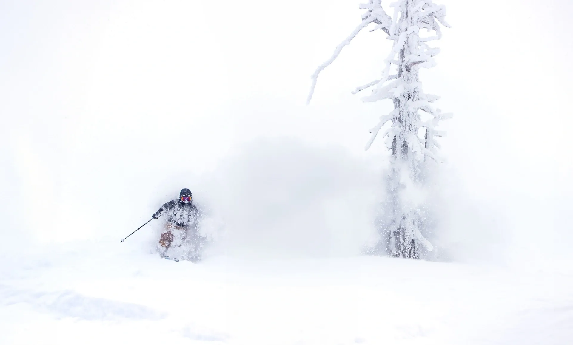 Grand Targhee Resort photo 5
