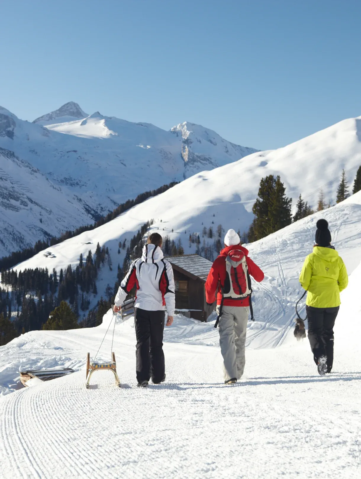 Gletscherwelt Zillertal 3000