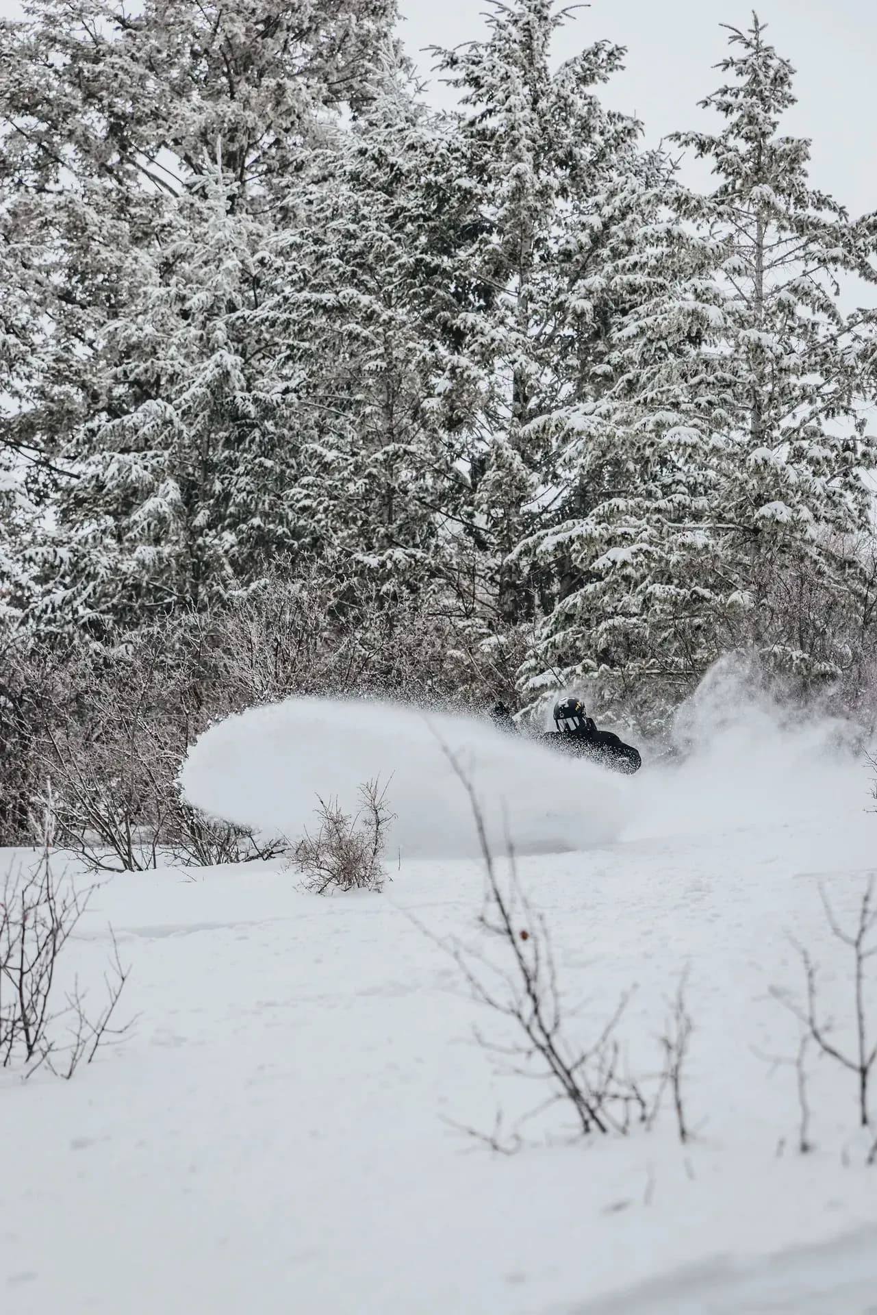 Kelly Canyon Ski Resort photo 5