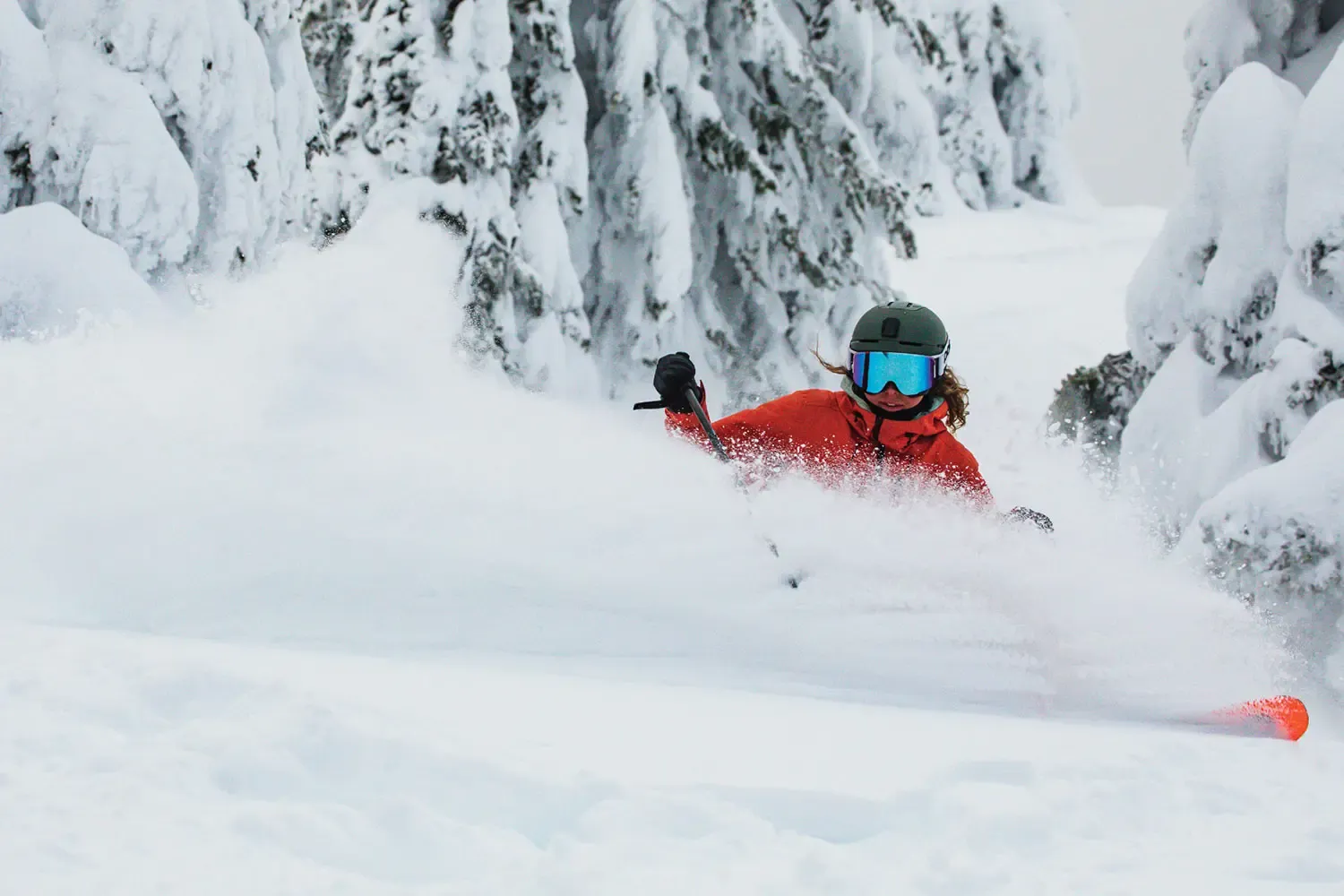 SilverStar photo 12