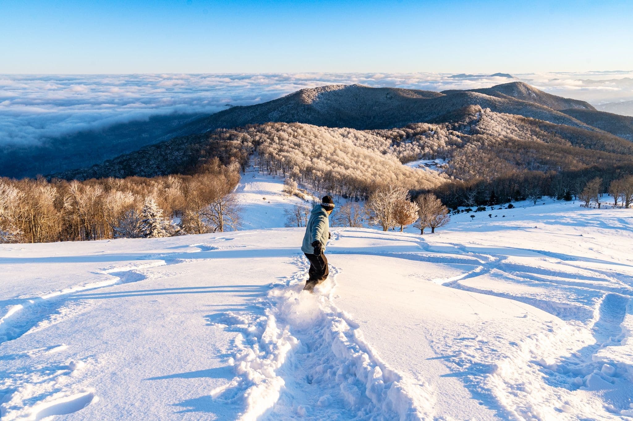 Cataloochee