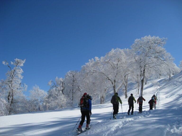 Nozawa Onsen photo 6