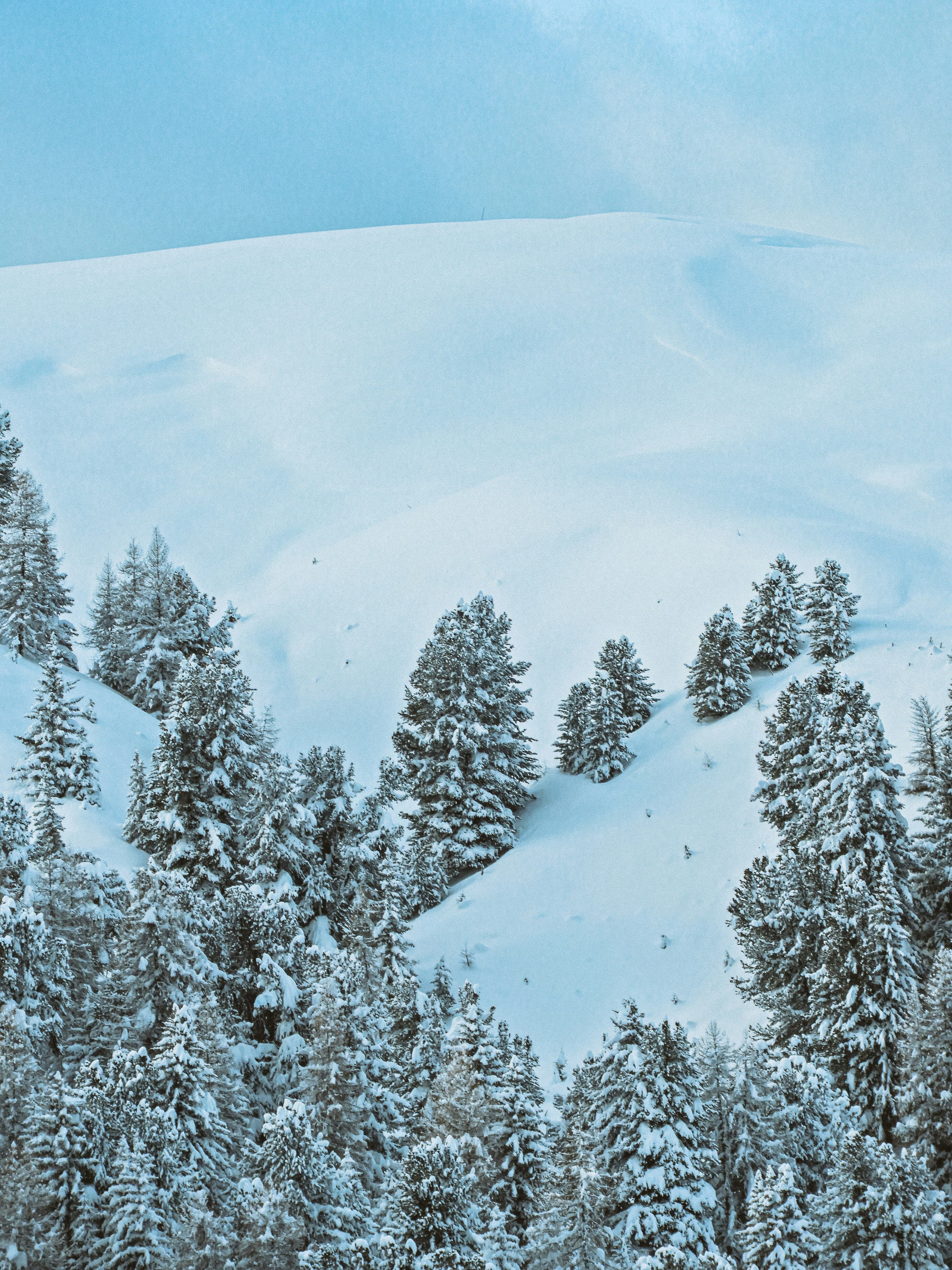 La Plagne photo 5