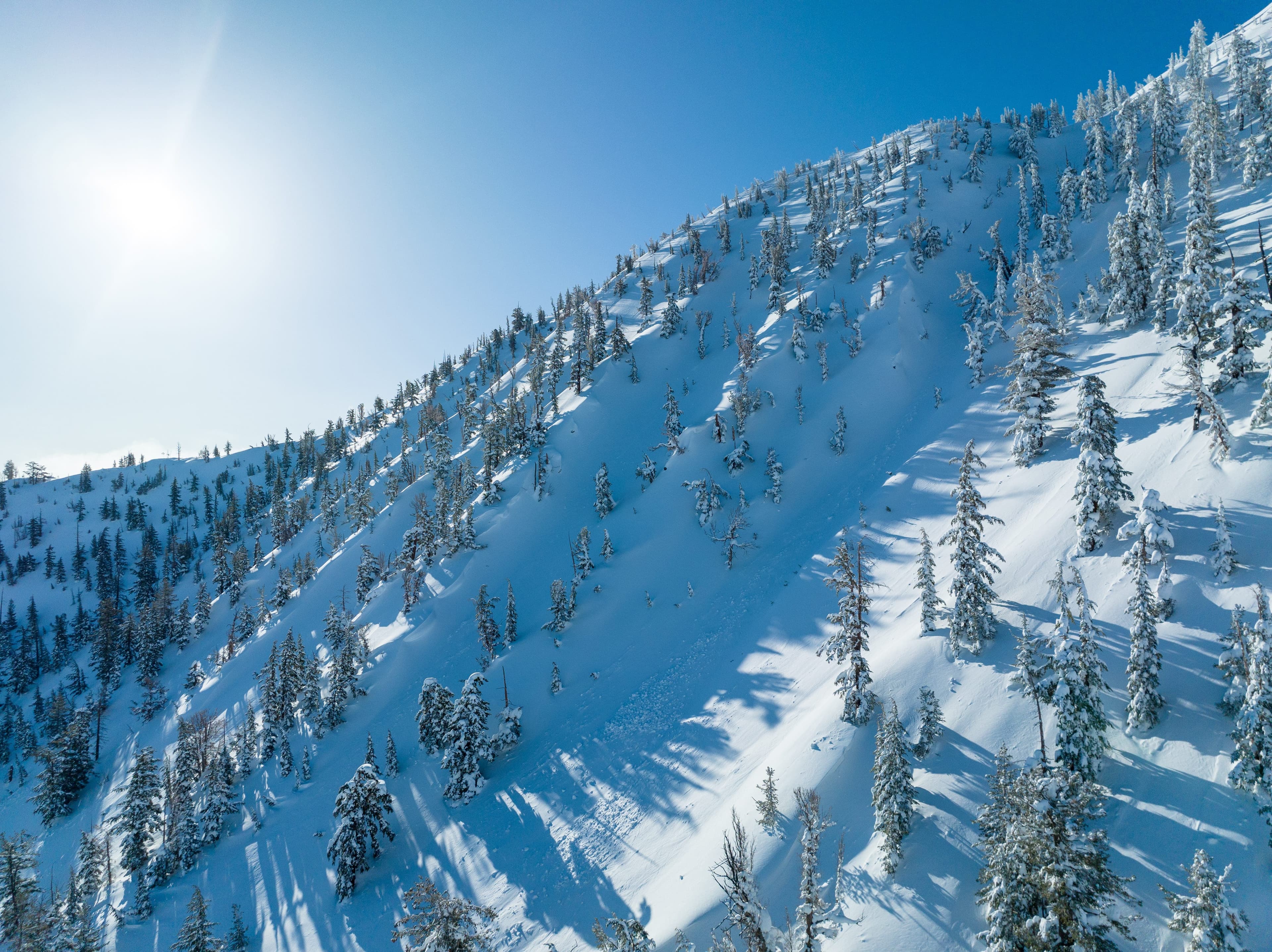 Mt. Rose photo 4