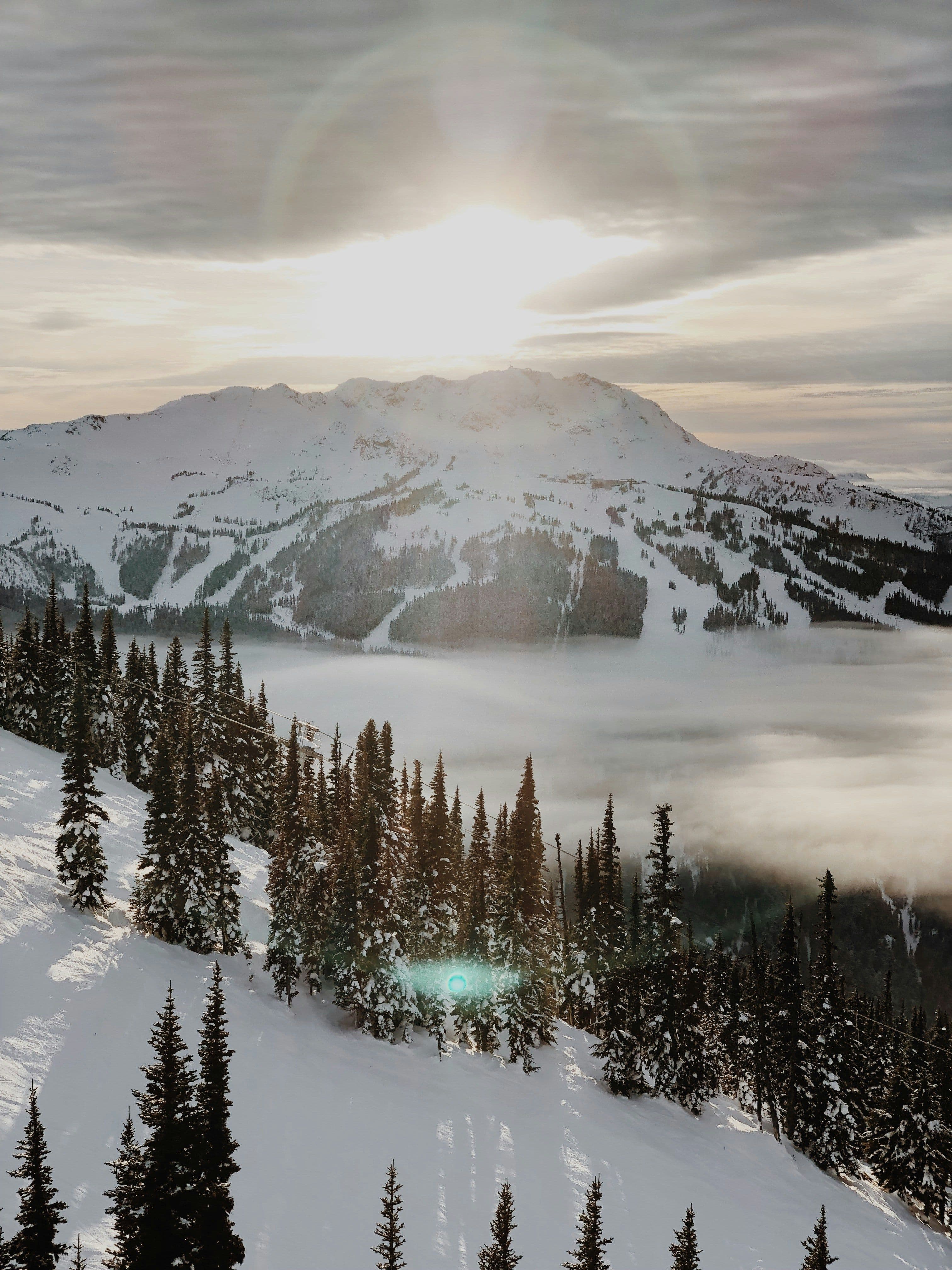 Whistler Blackcomb photo 5
