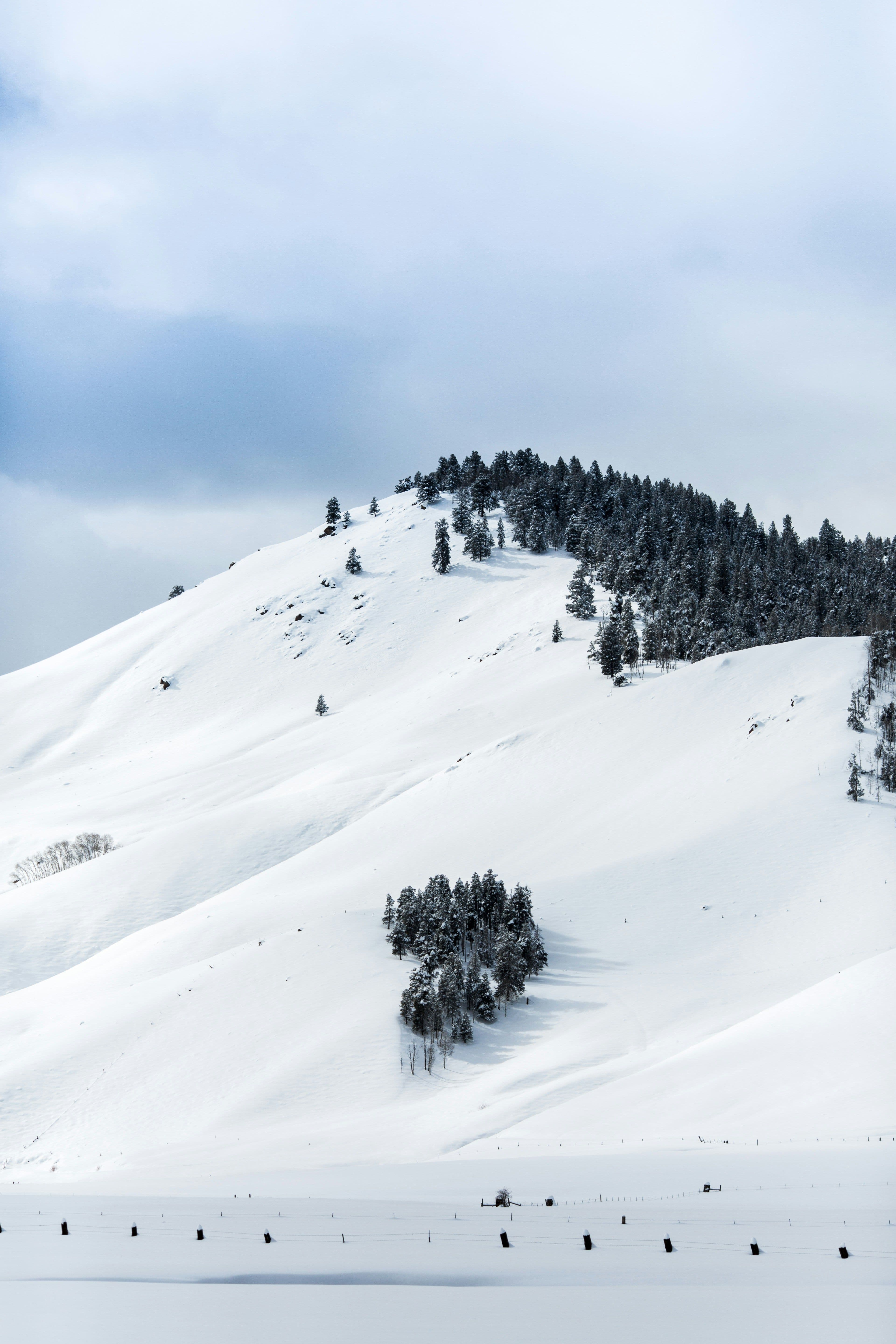 Monarch Mountain