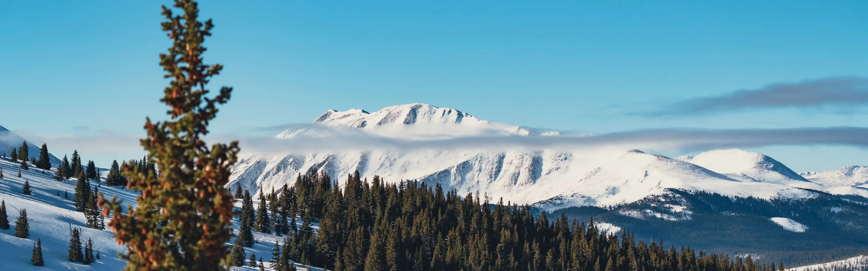 Keystone photo 8