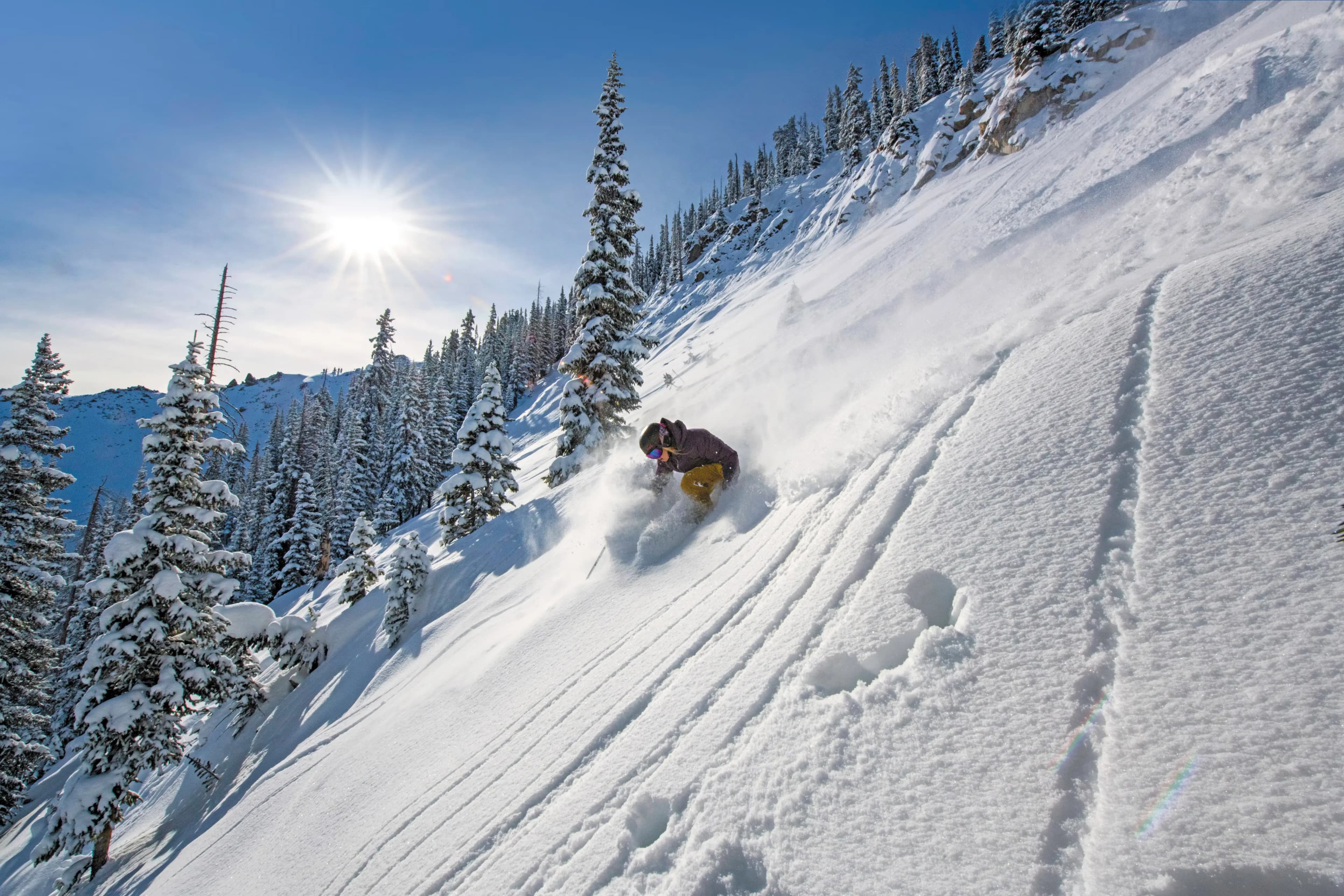 Crested Butte photo 11