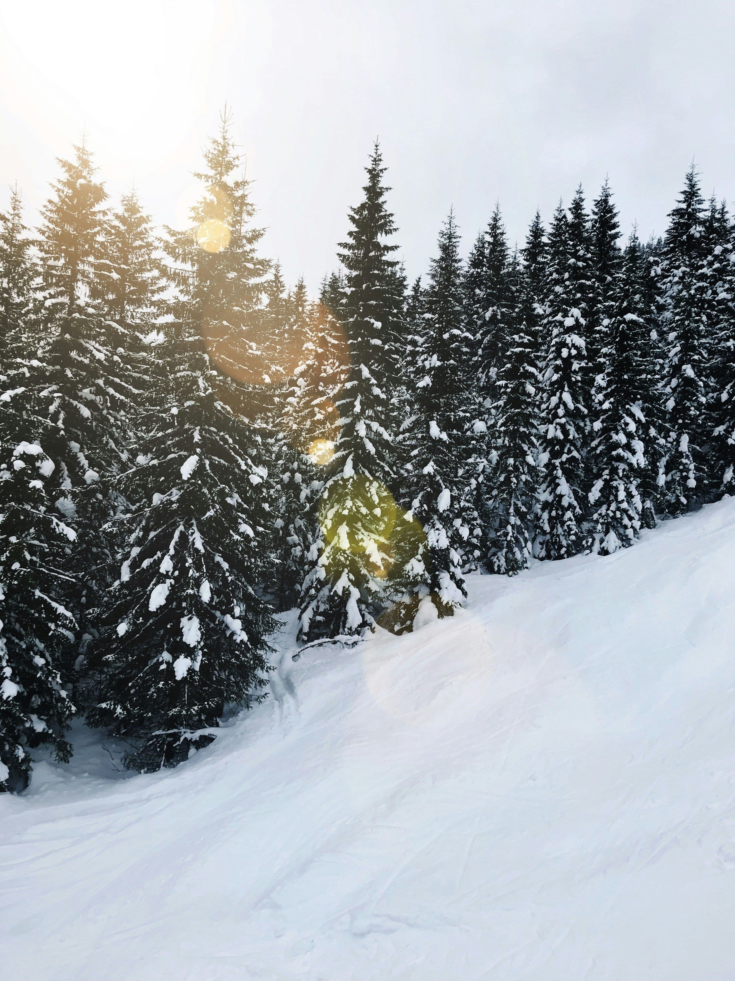 Trysil photo 5
