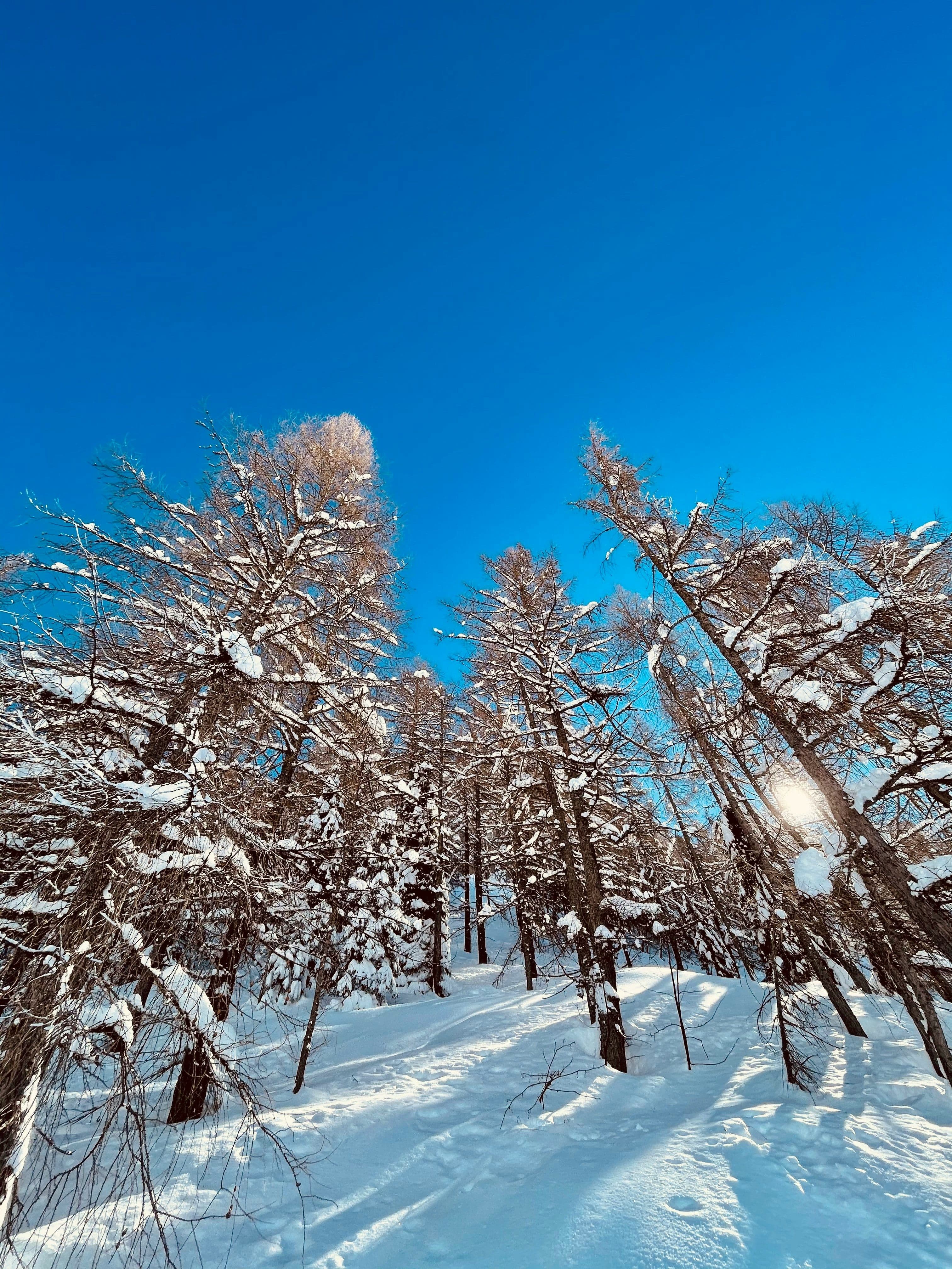Livigno photo 5