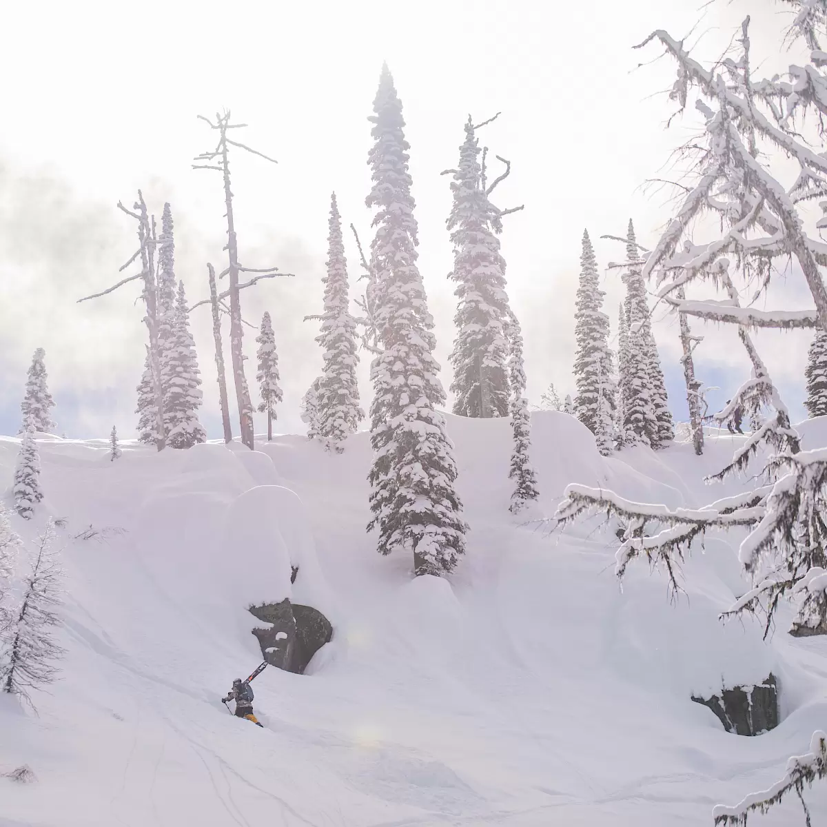 Whitewater Ski Resort photo 6
