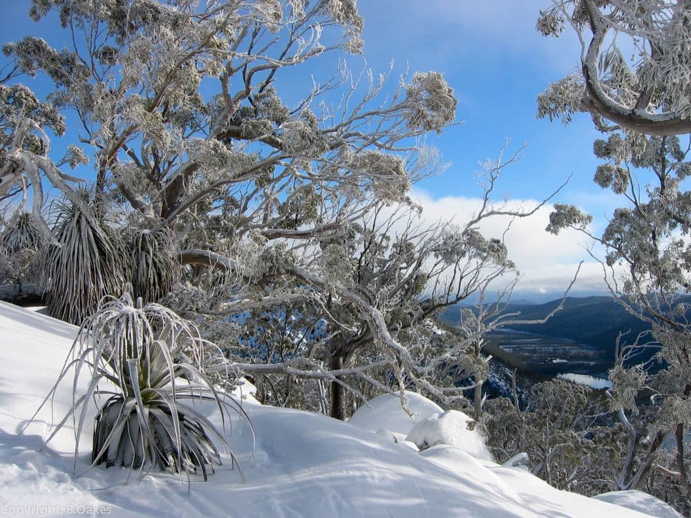 Mt Mawson