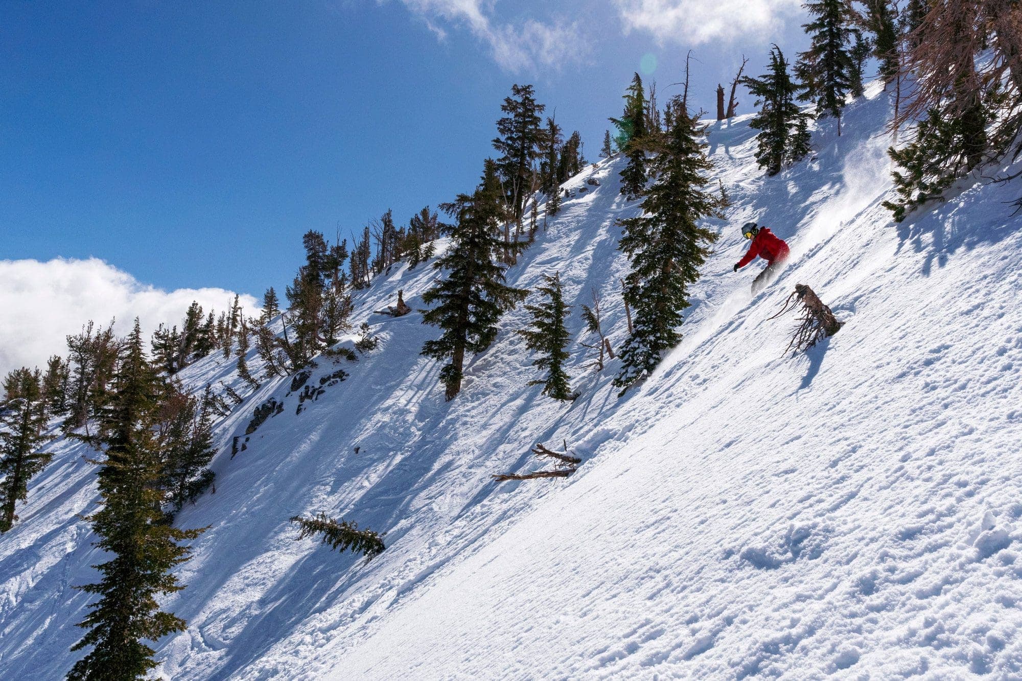 Mt. Rose photo 11