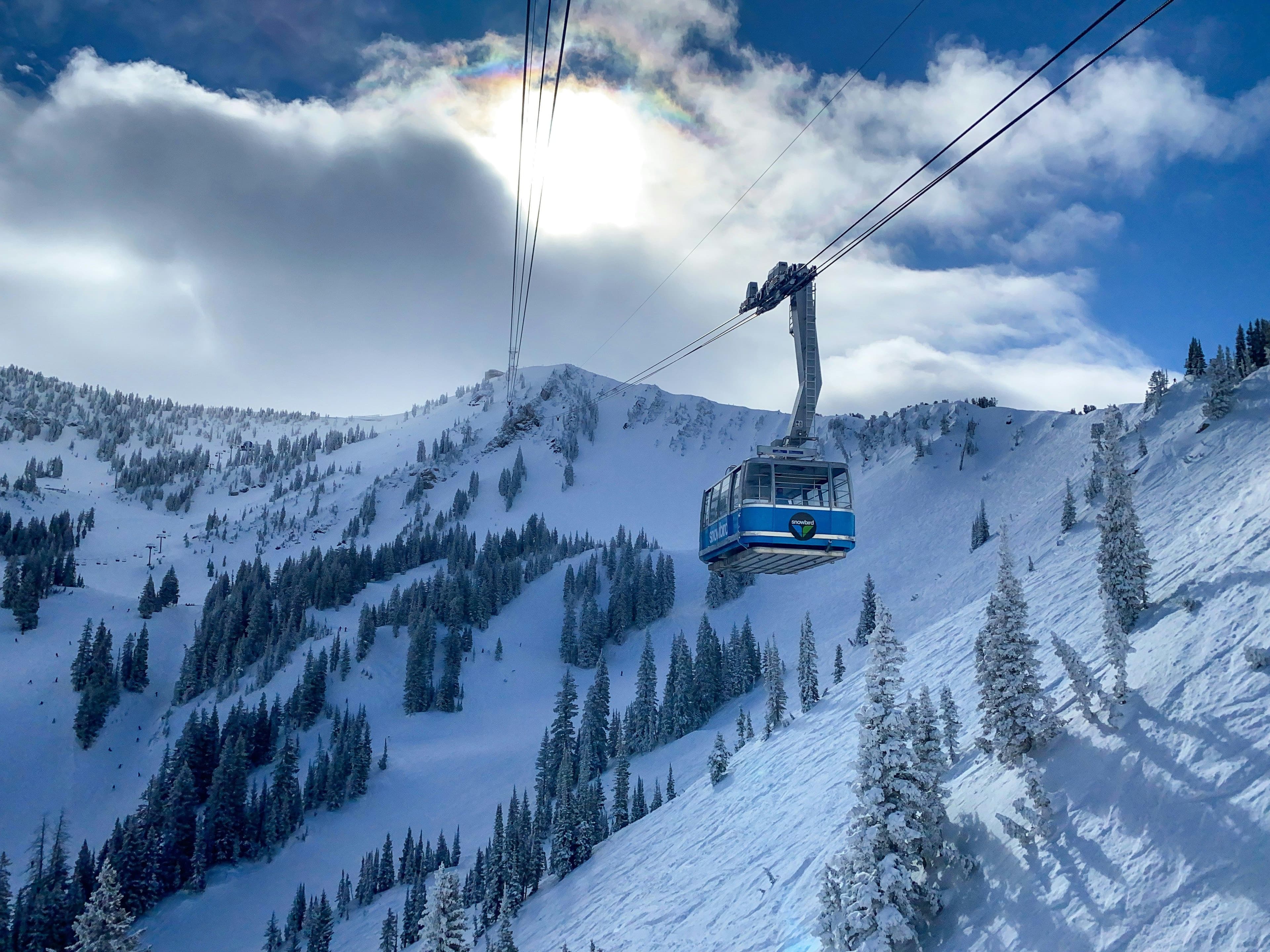 Snowbird